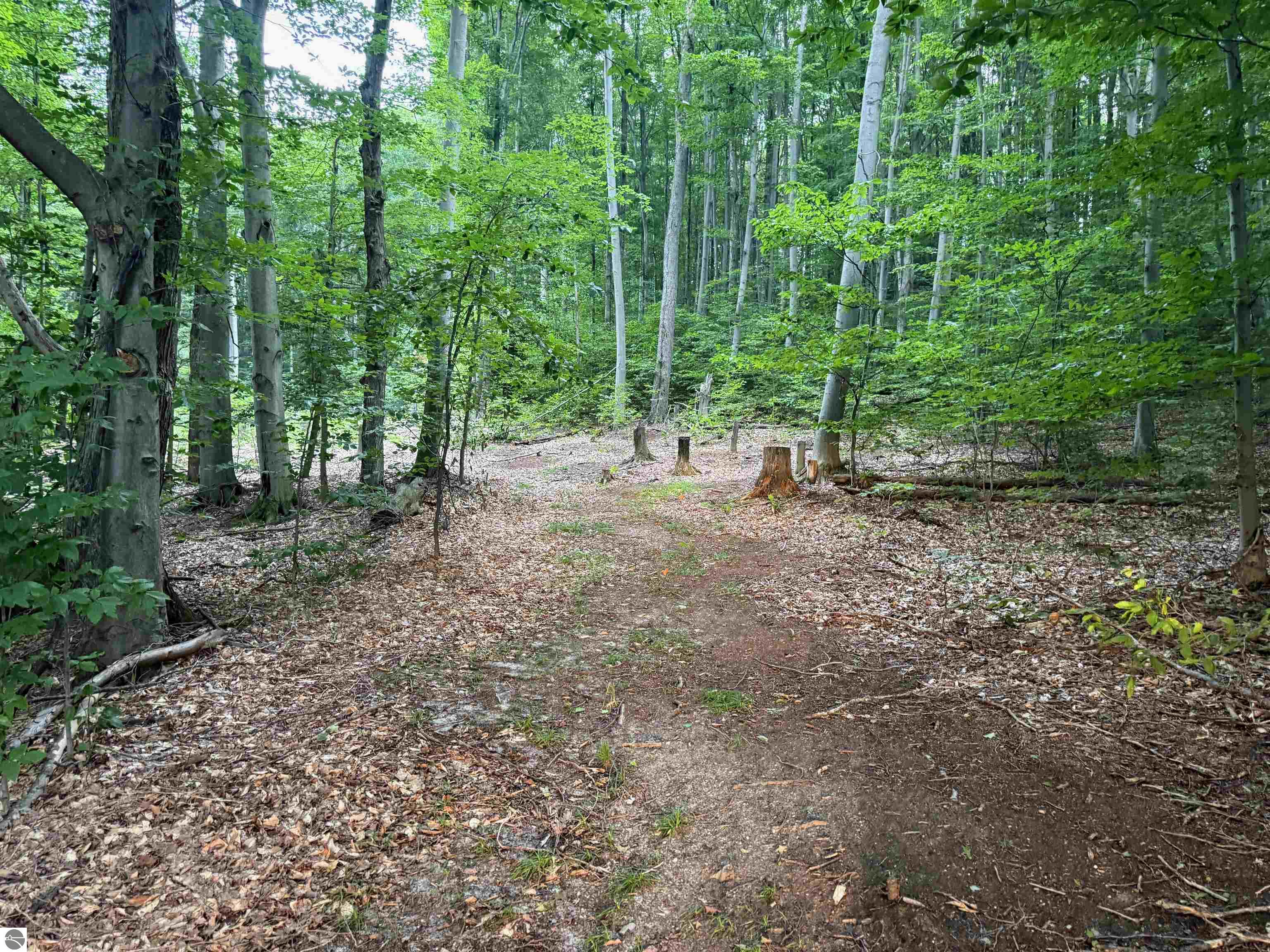 0000 S Bridle Trail