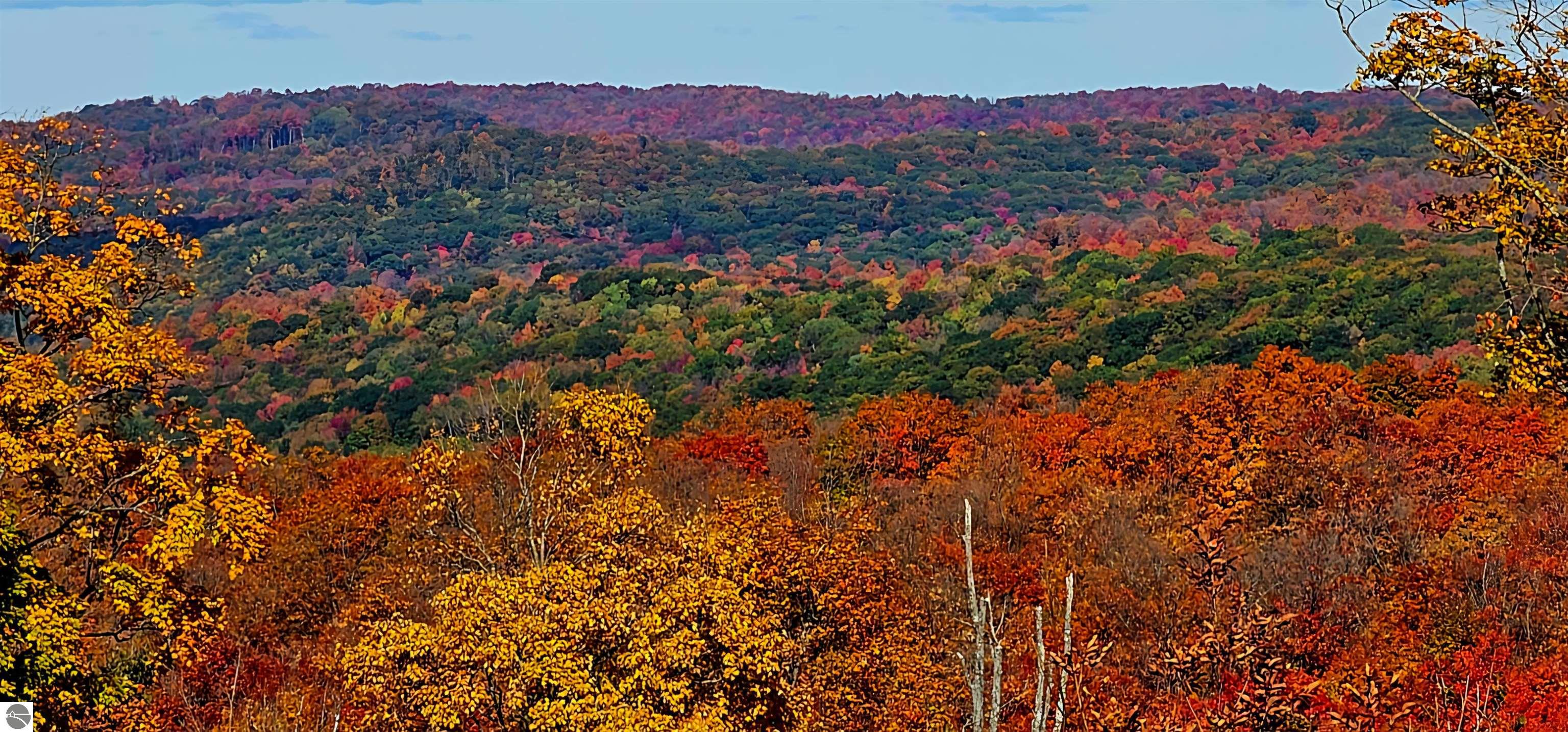 5512 W Timber Wolf Court