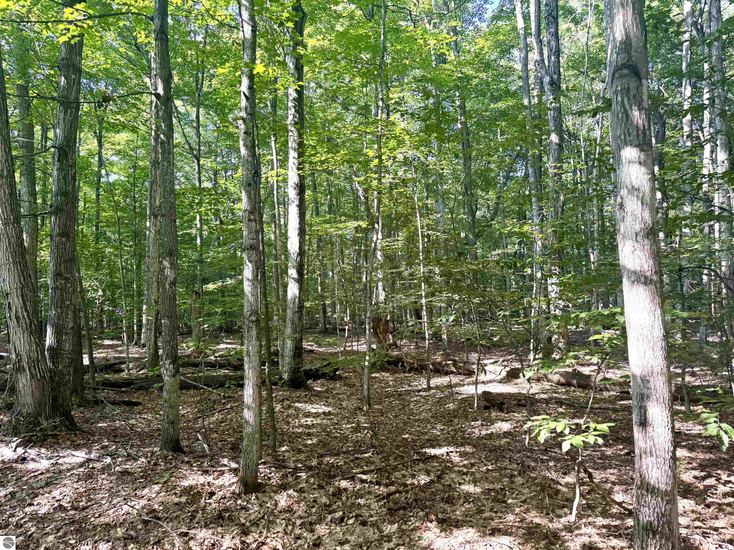 000 S Springview Drive