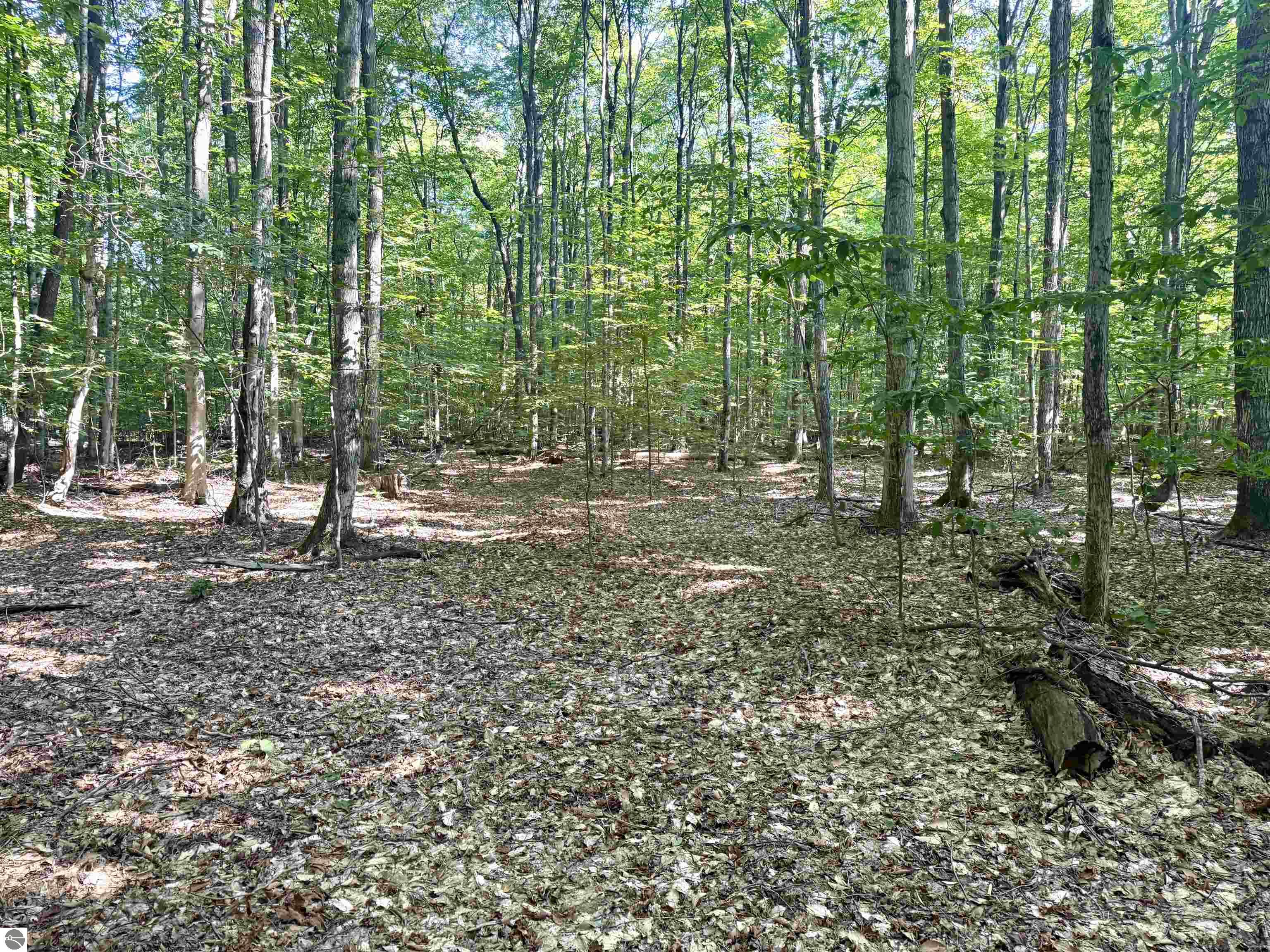 000 S Springview Drive