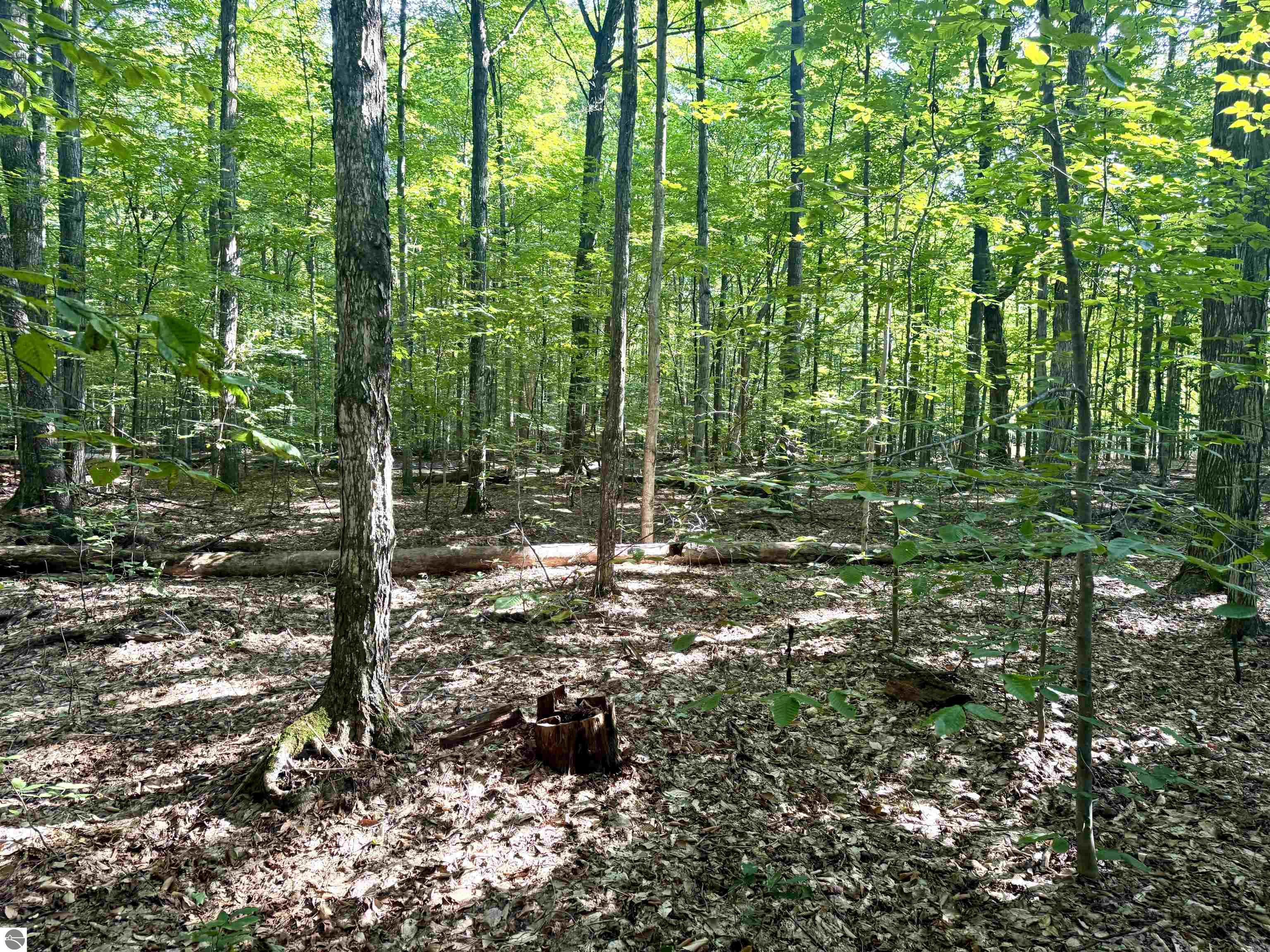 000 S Springview Drive