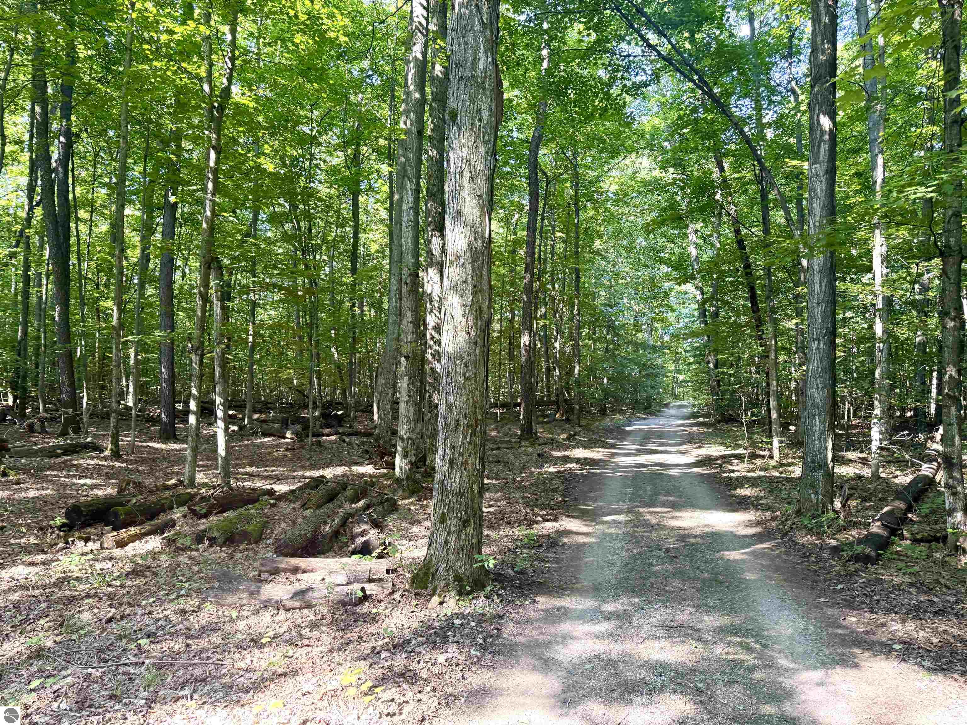 000 S Springview Drive