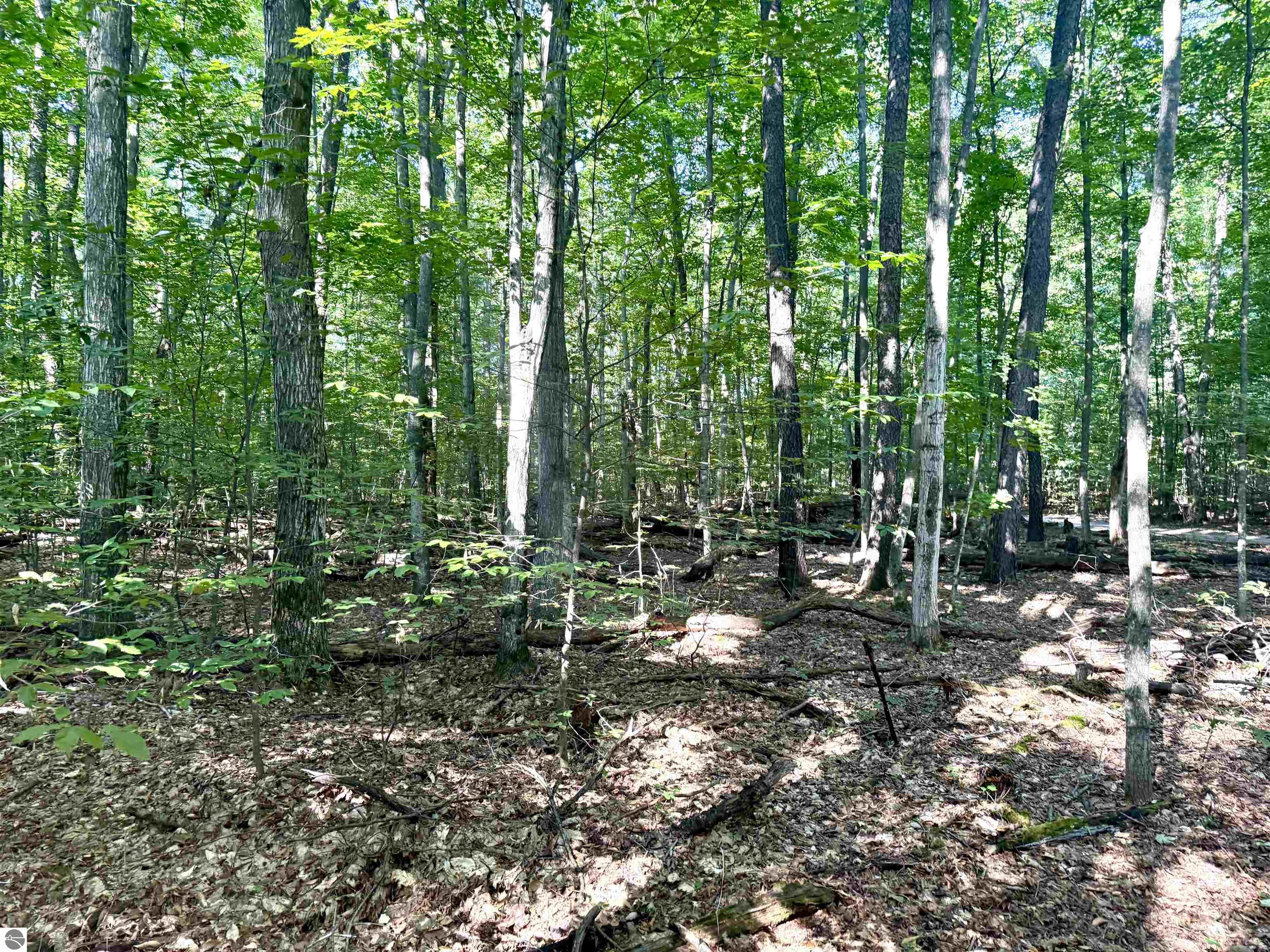 000 S Springview Drive