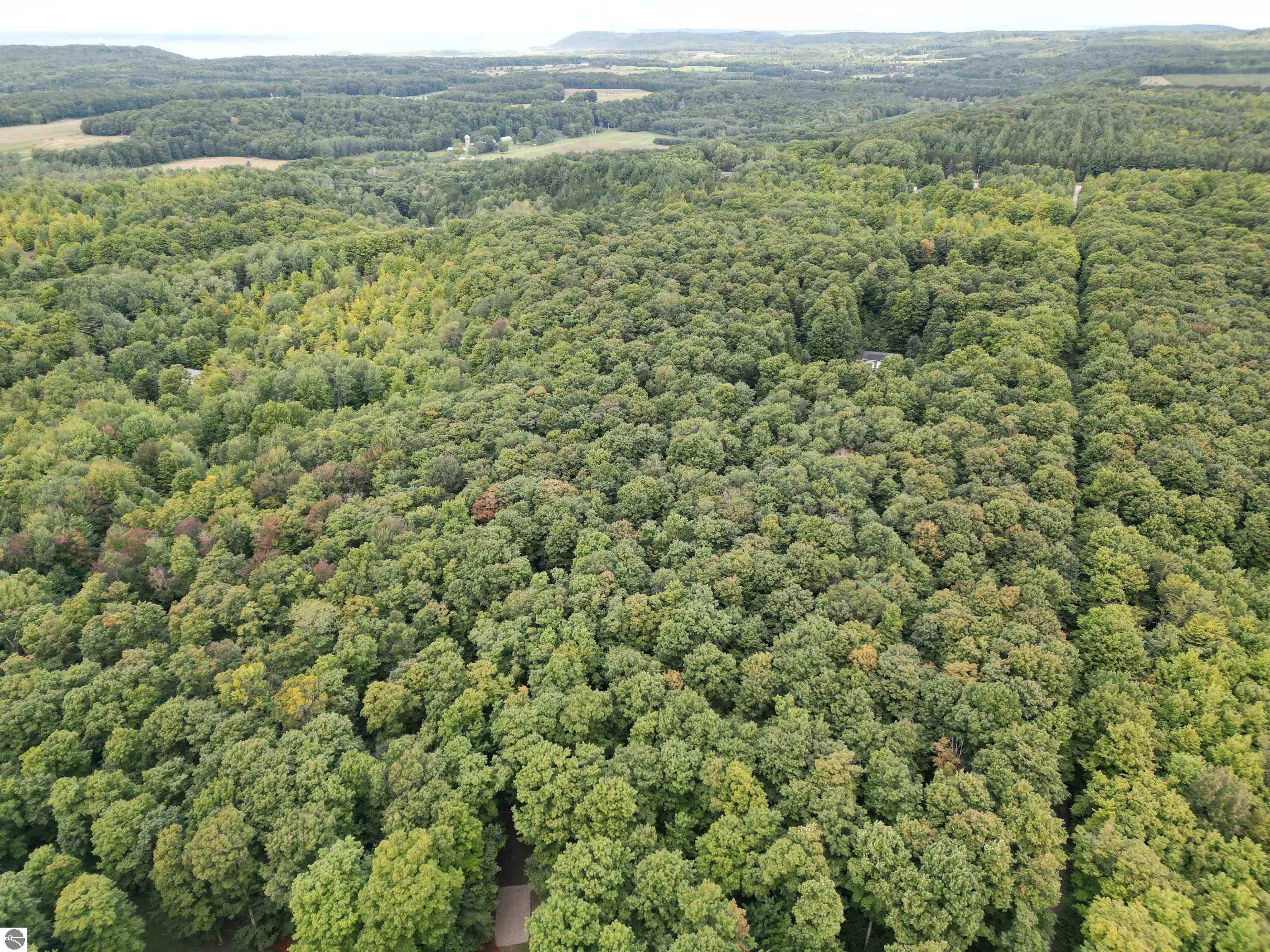 000 S Springview Drive