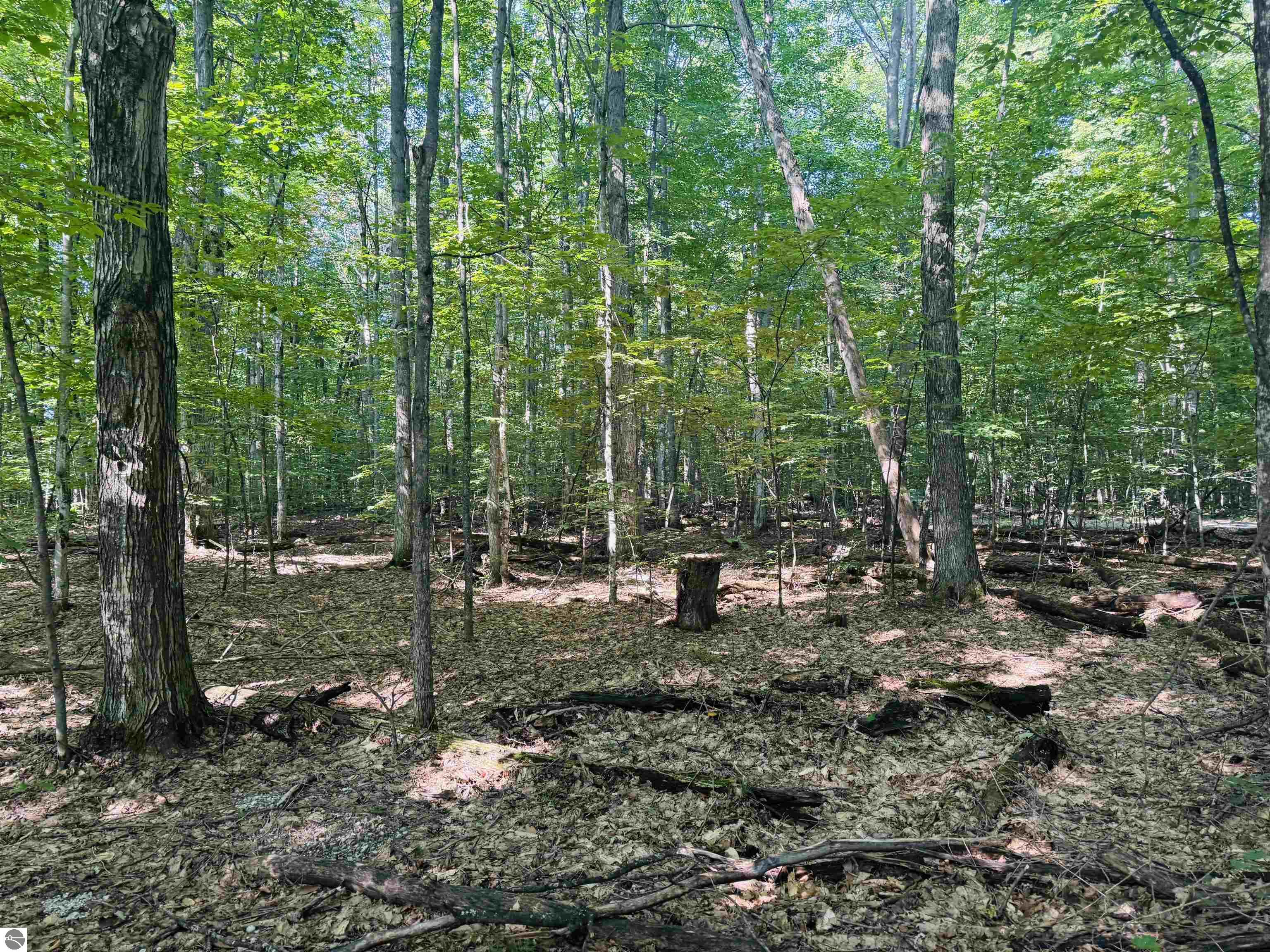 000 S Springview Drive