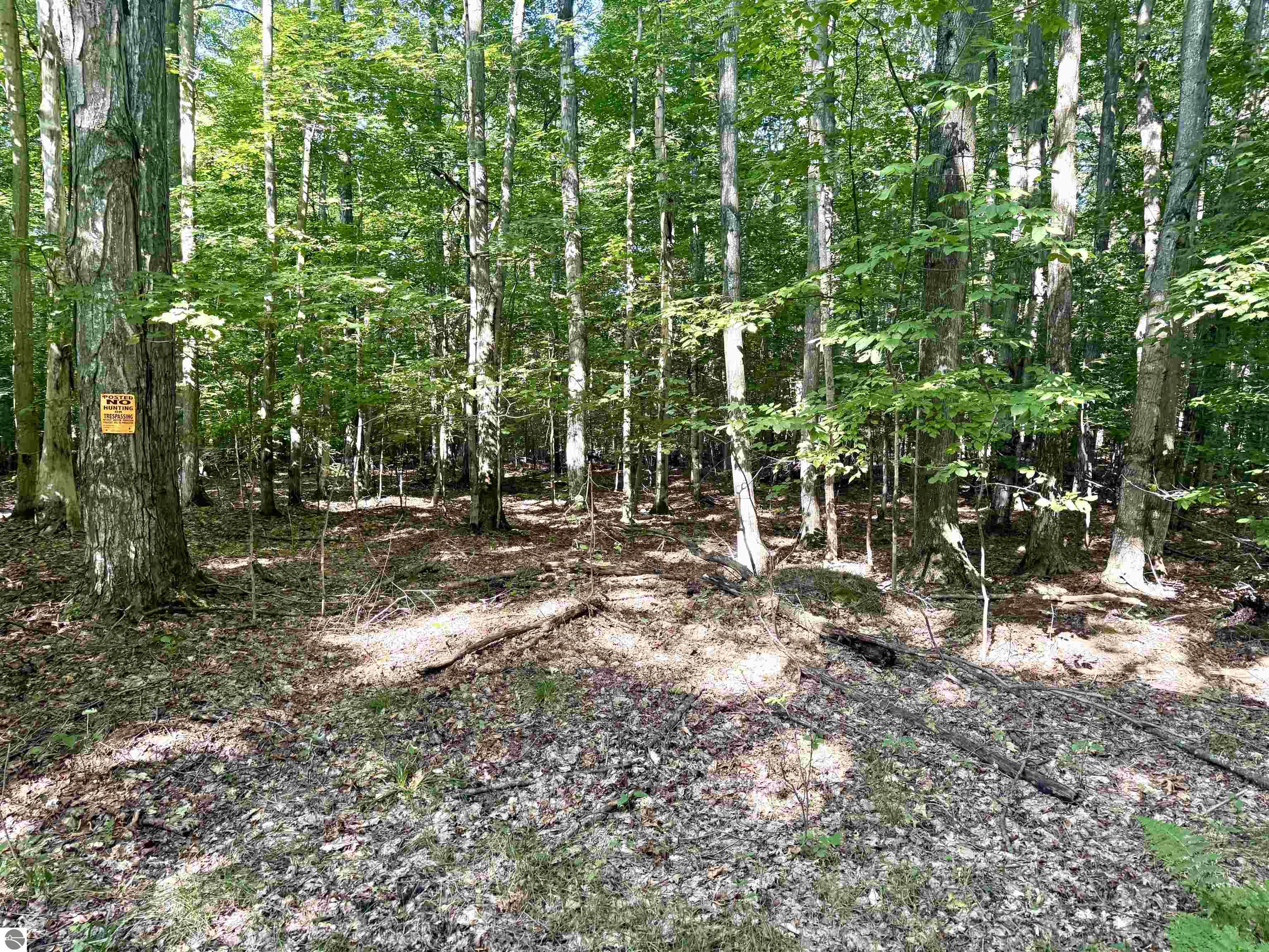 000 S Springview Drive