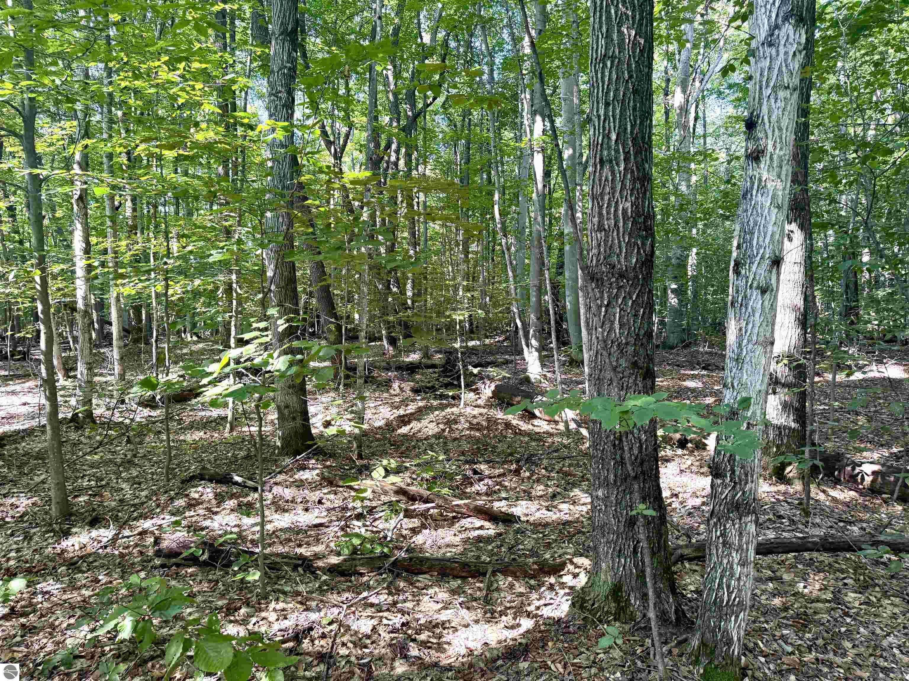 000 S Springview Drive