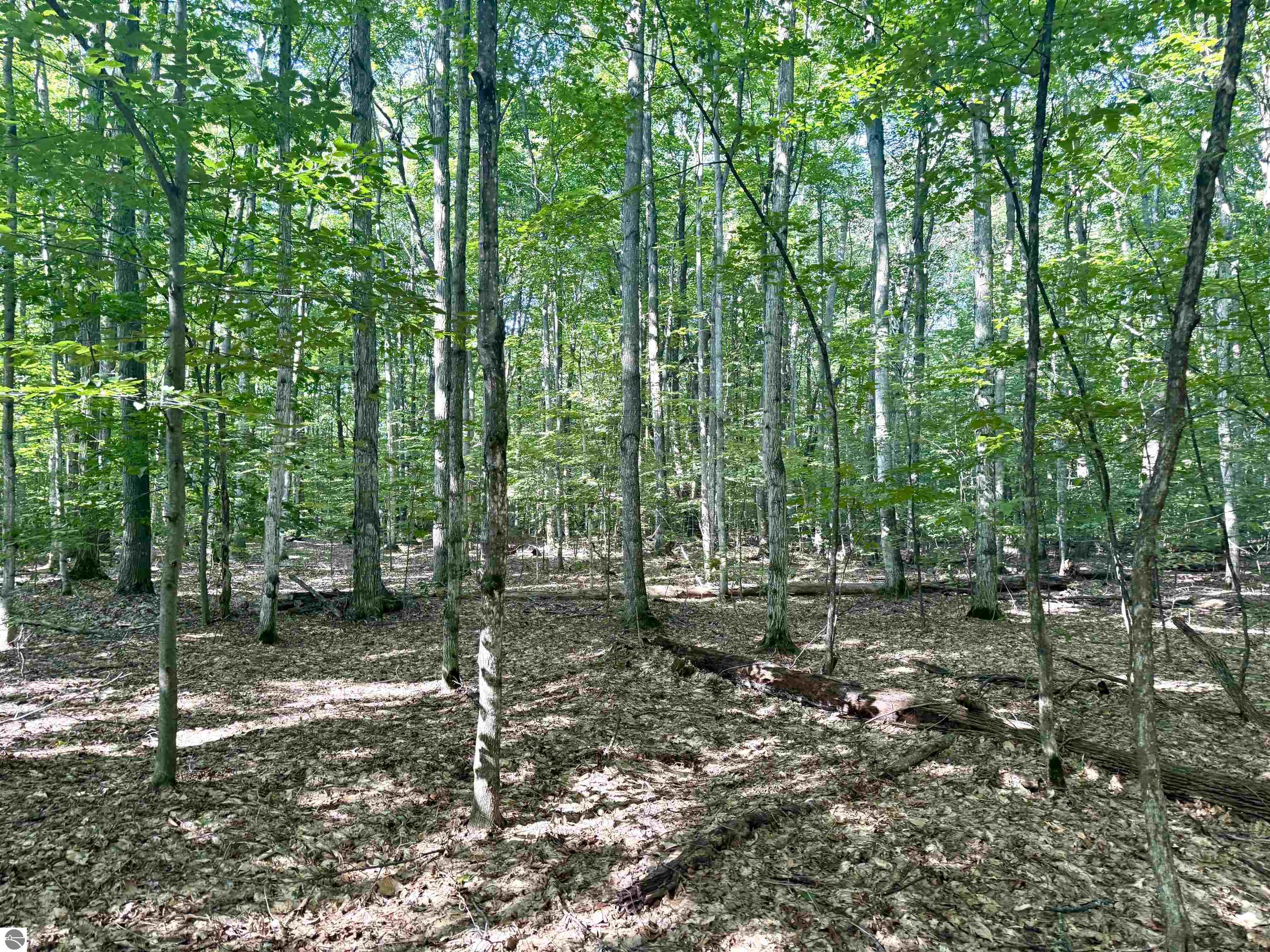 000 S Springview Drive