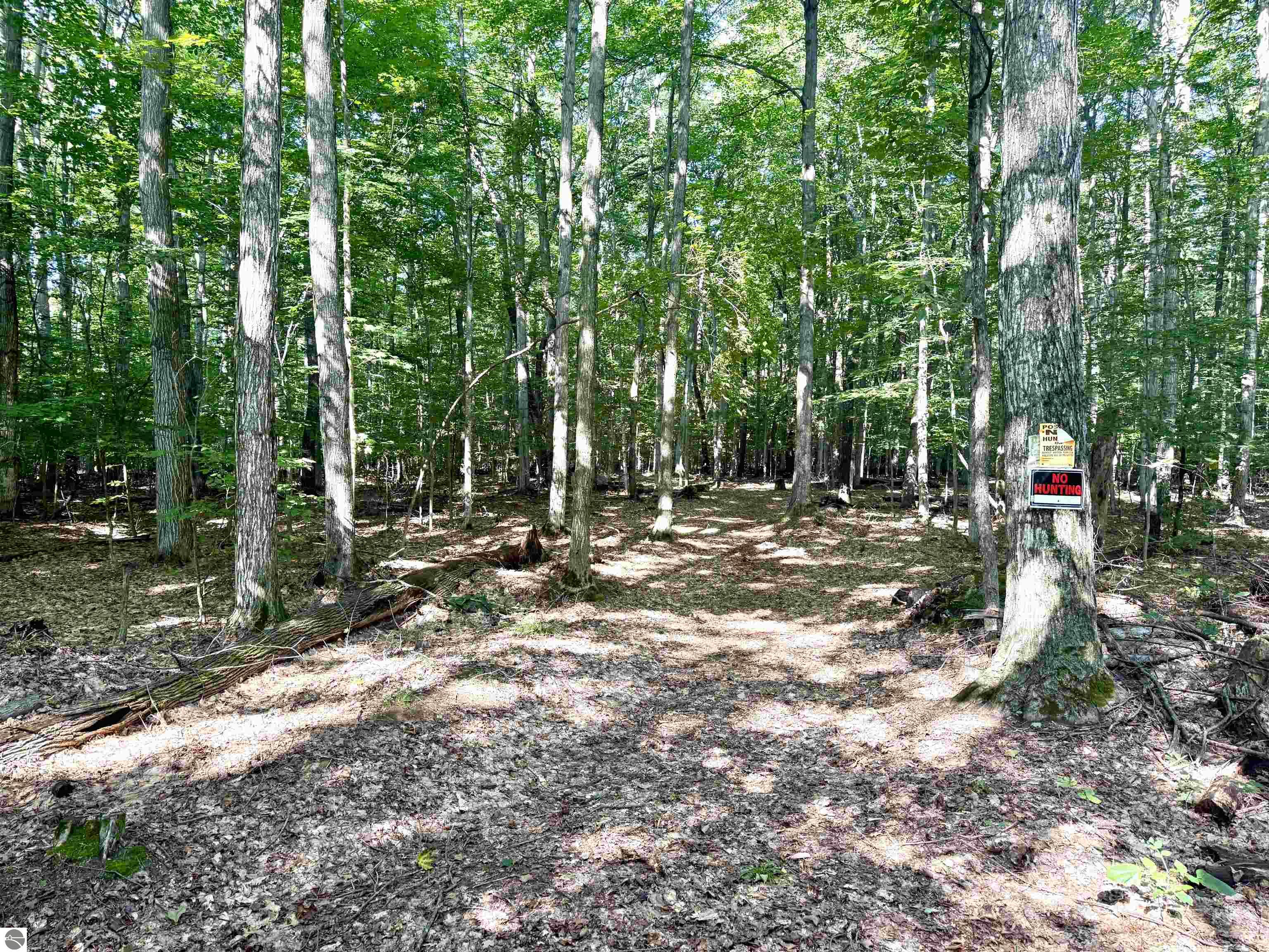 000 S Springview Drive