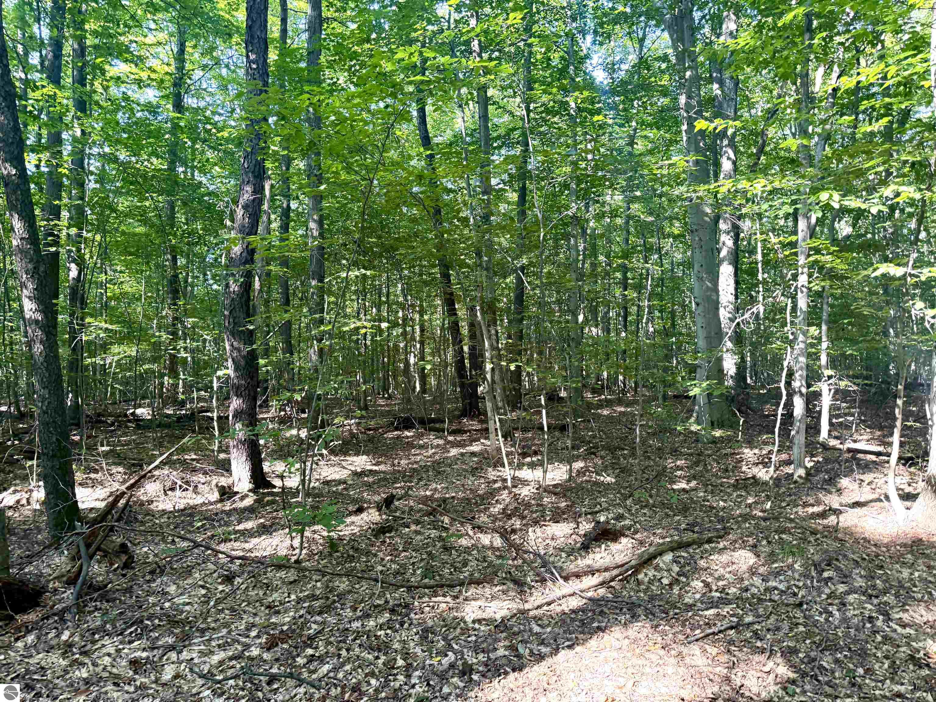 000 S Springview Drive