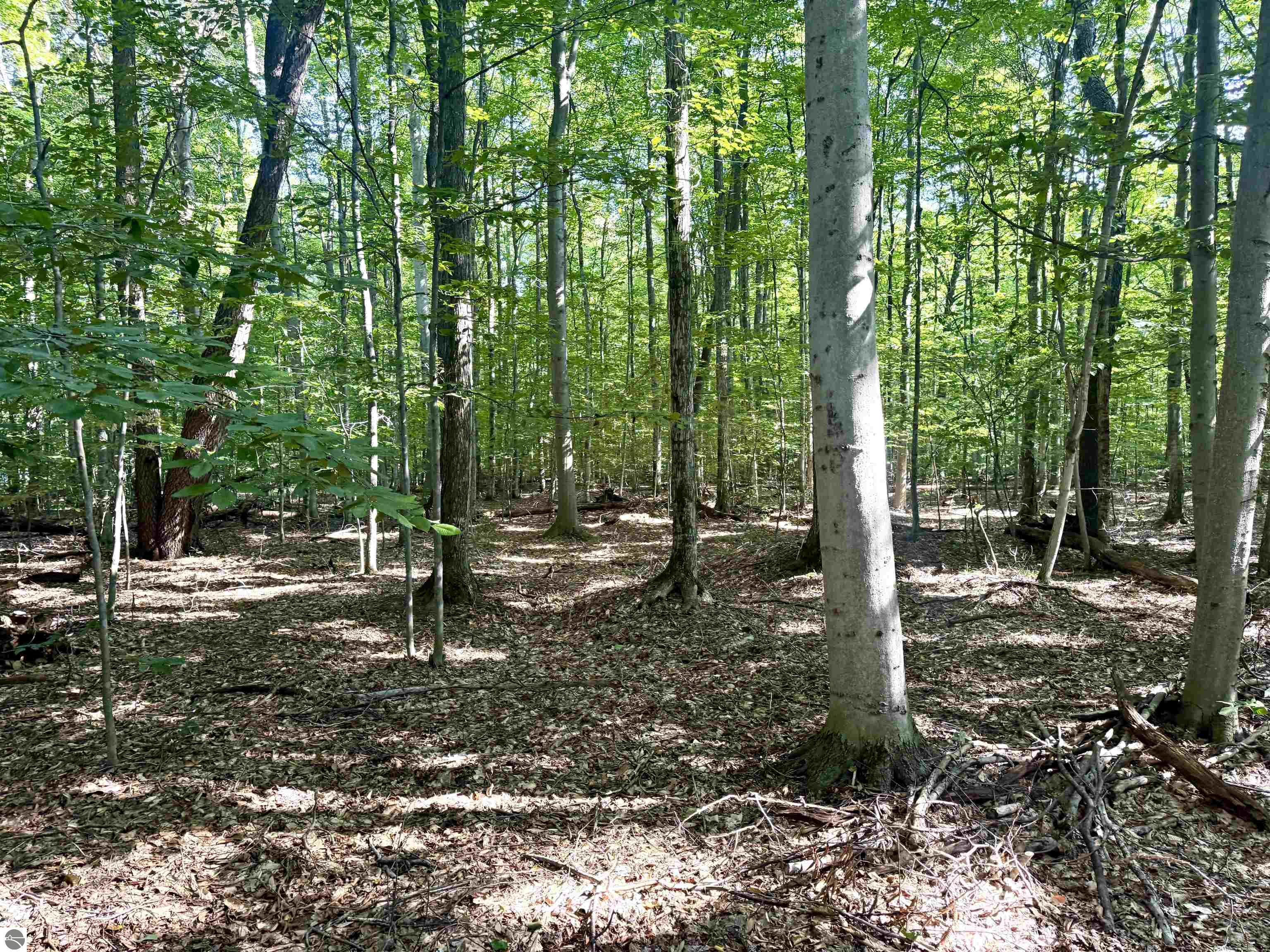 000 S Springview Drive