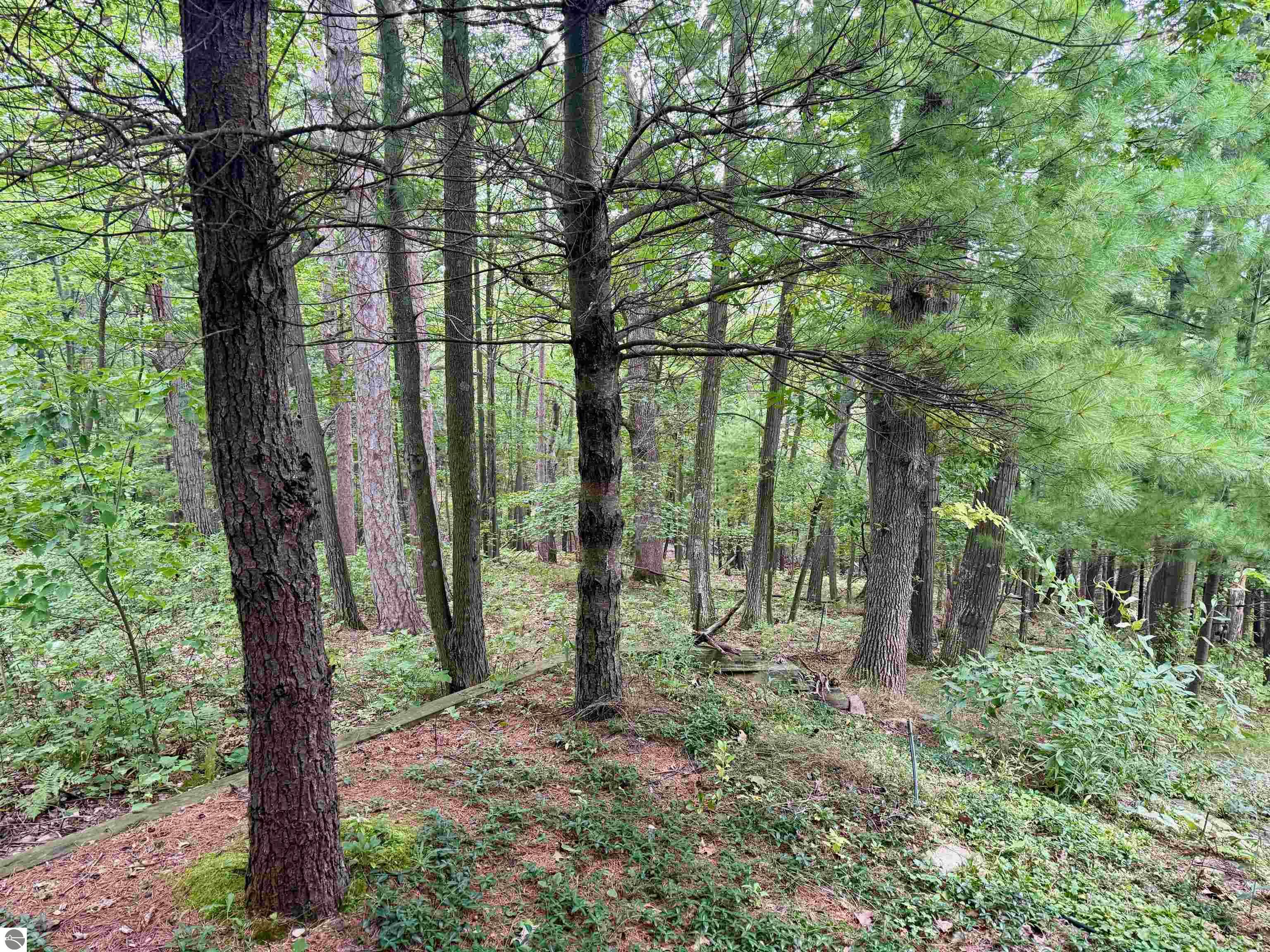 35 Brook Hill Cottages