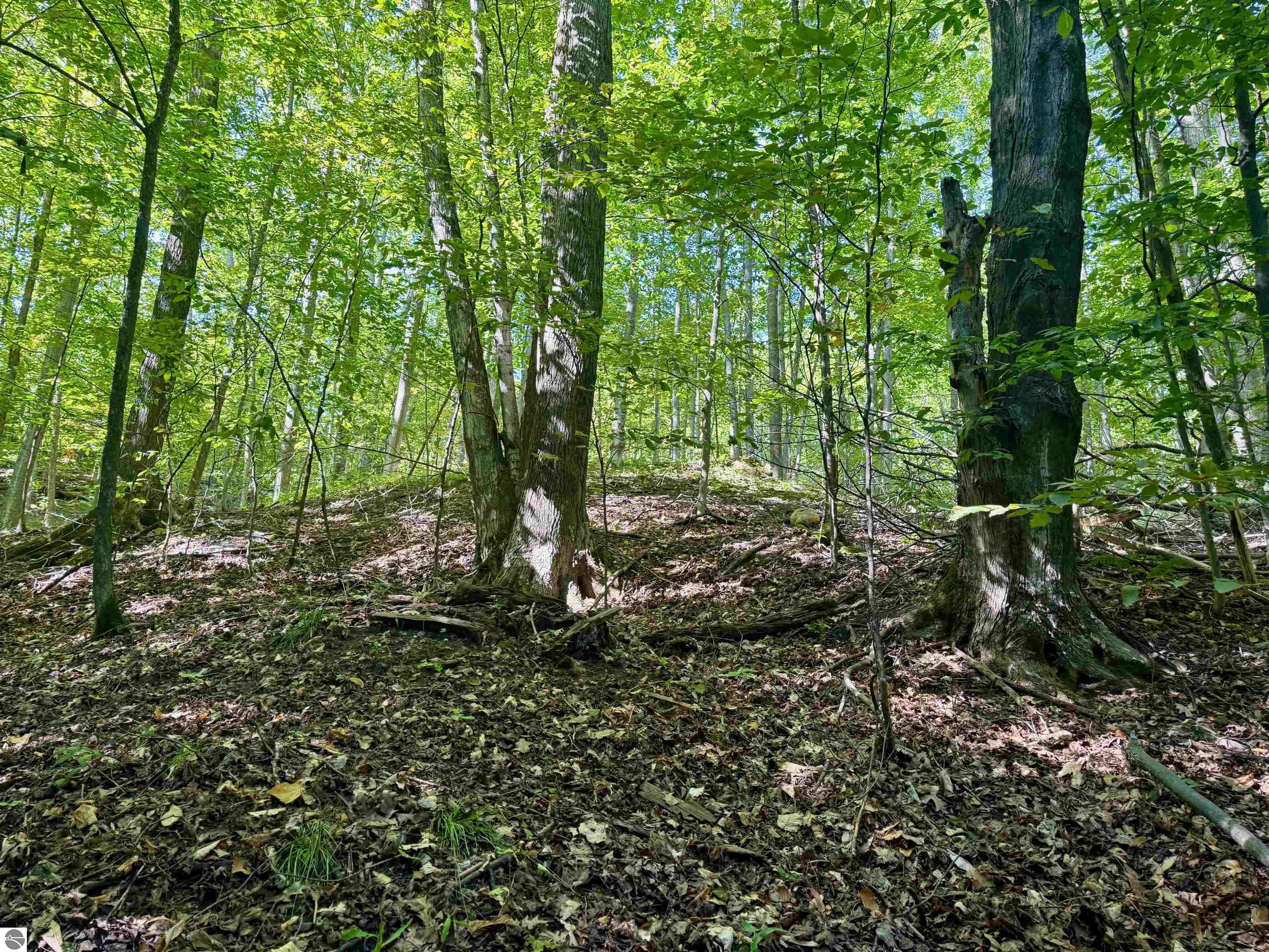 0000 W Harbor Highway