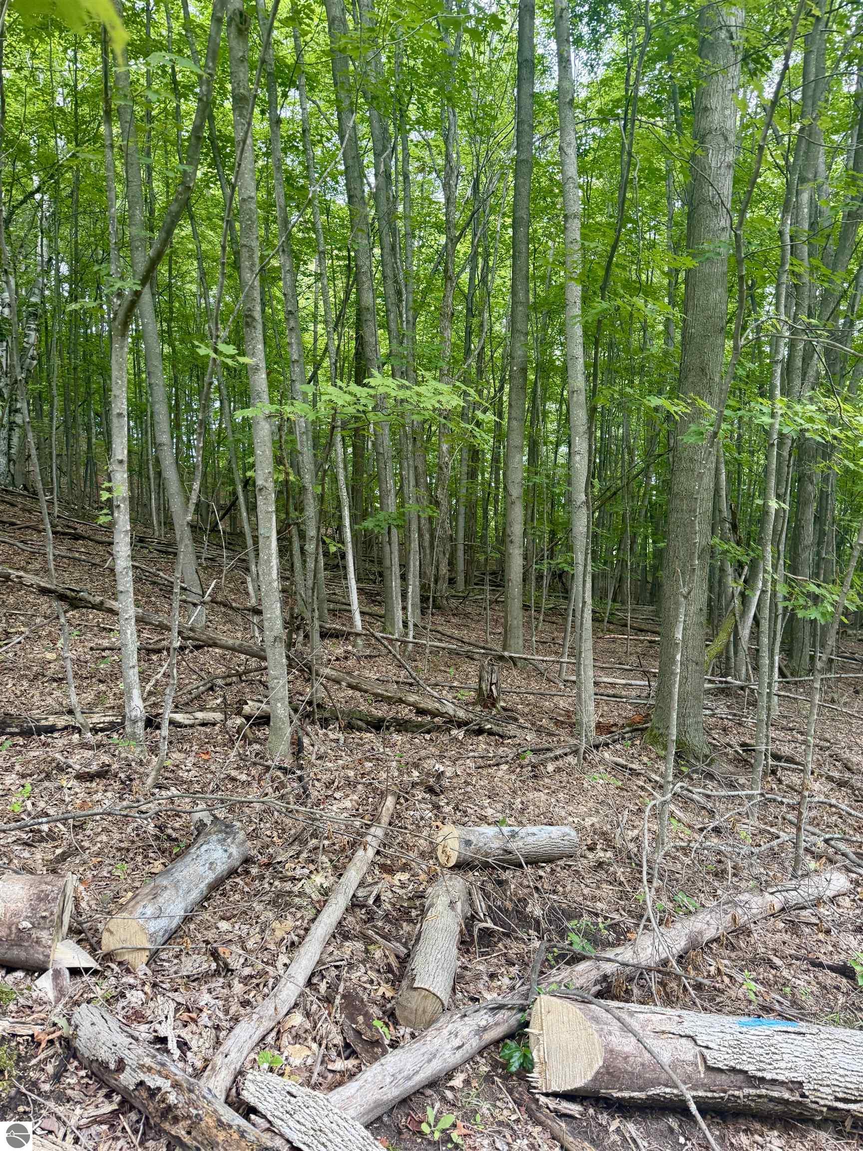 0000 W Harbor Highway