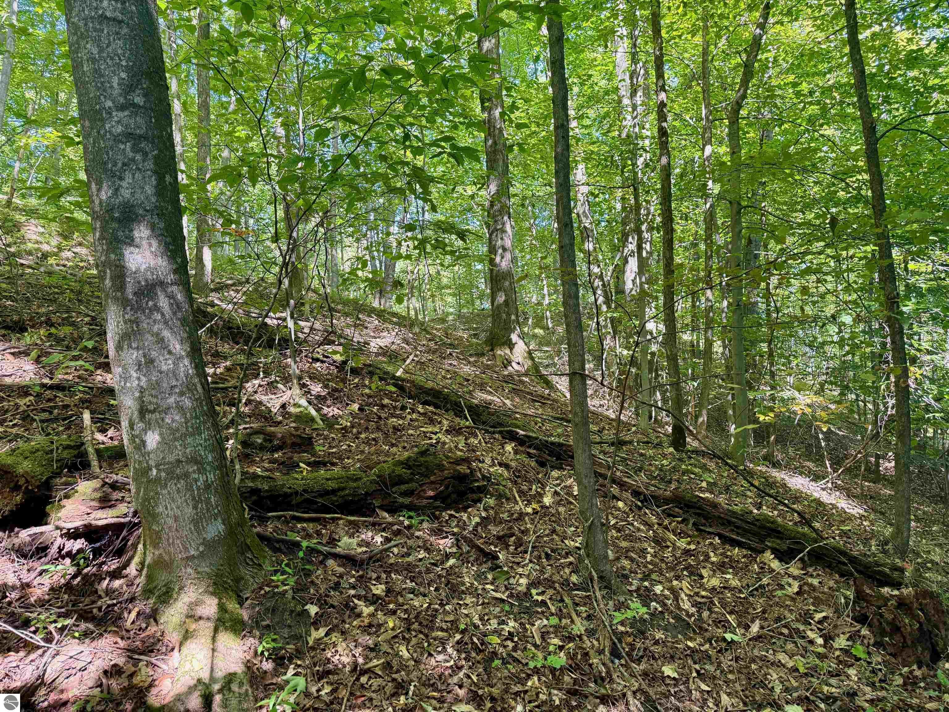 0000 W Harbor Highway