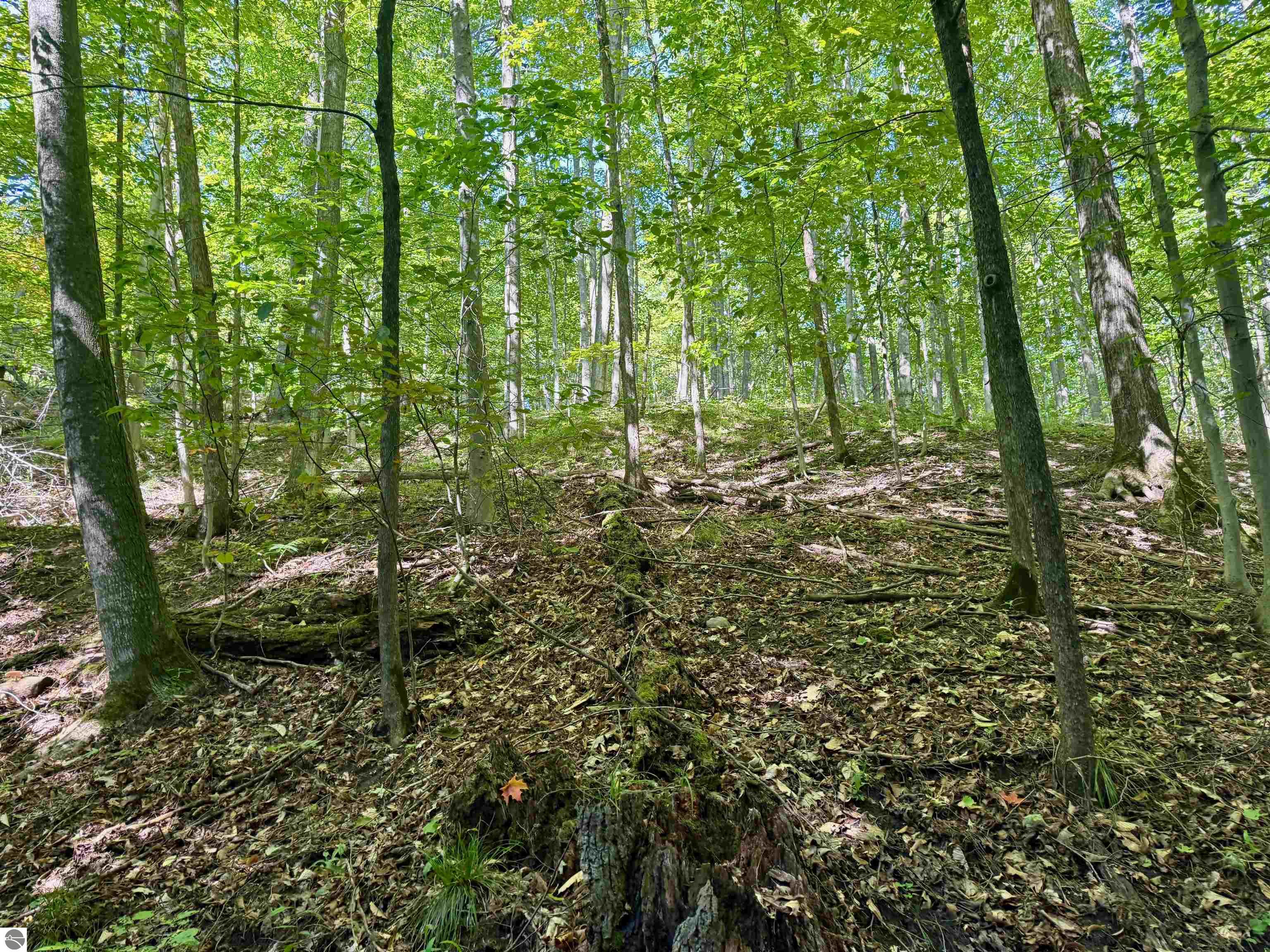 0000 W Harbor Highway