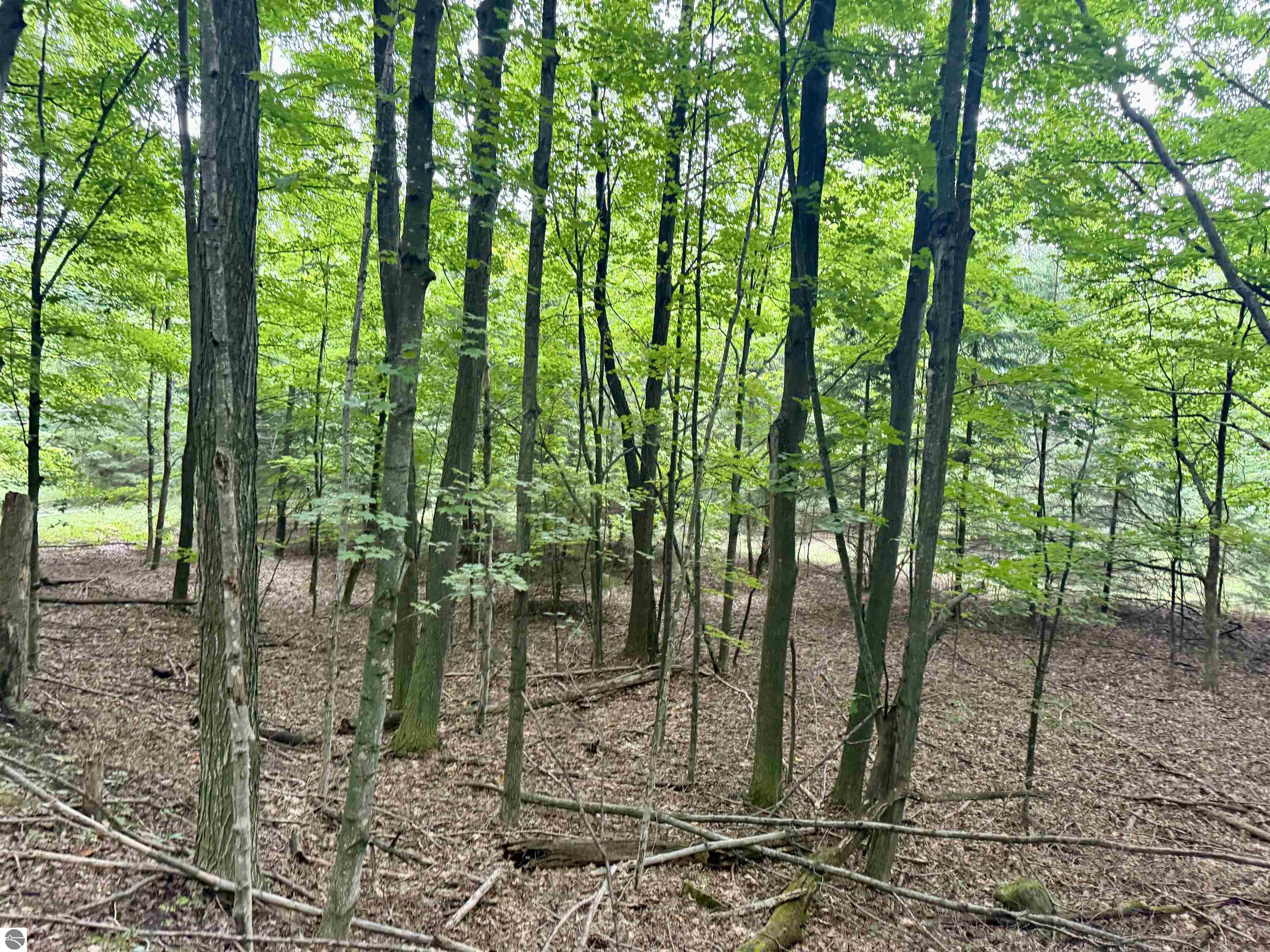 0000 W Harbor Highway