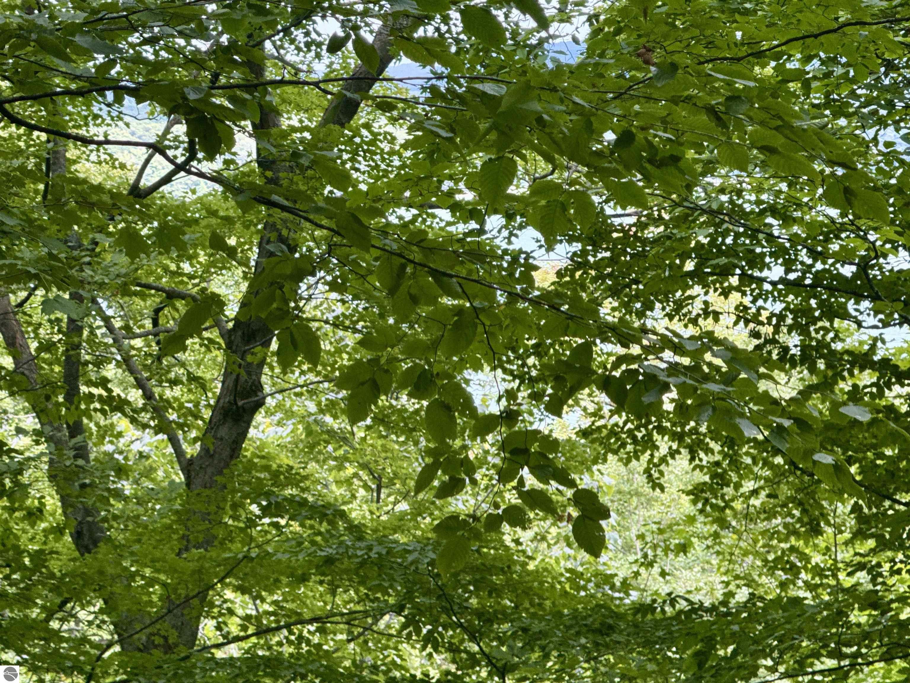 0000 W Harbor Highway