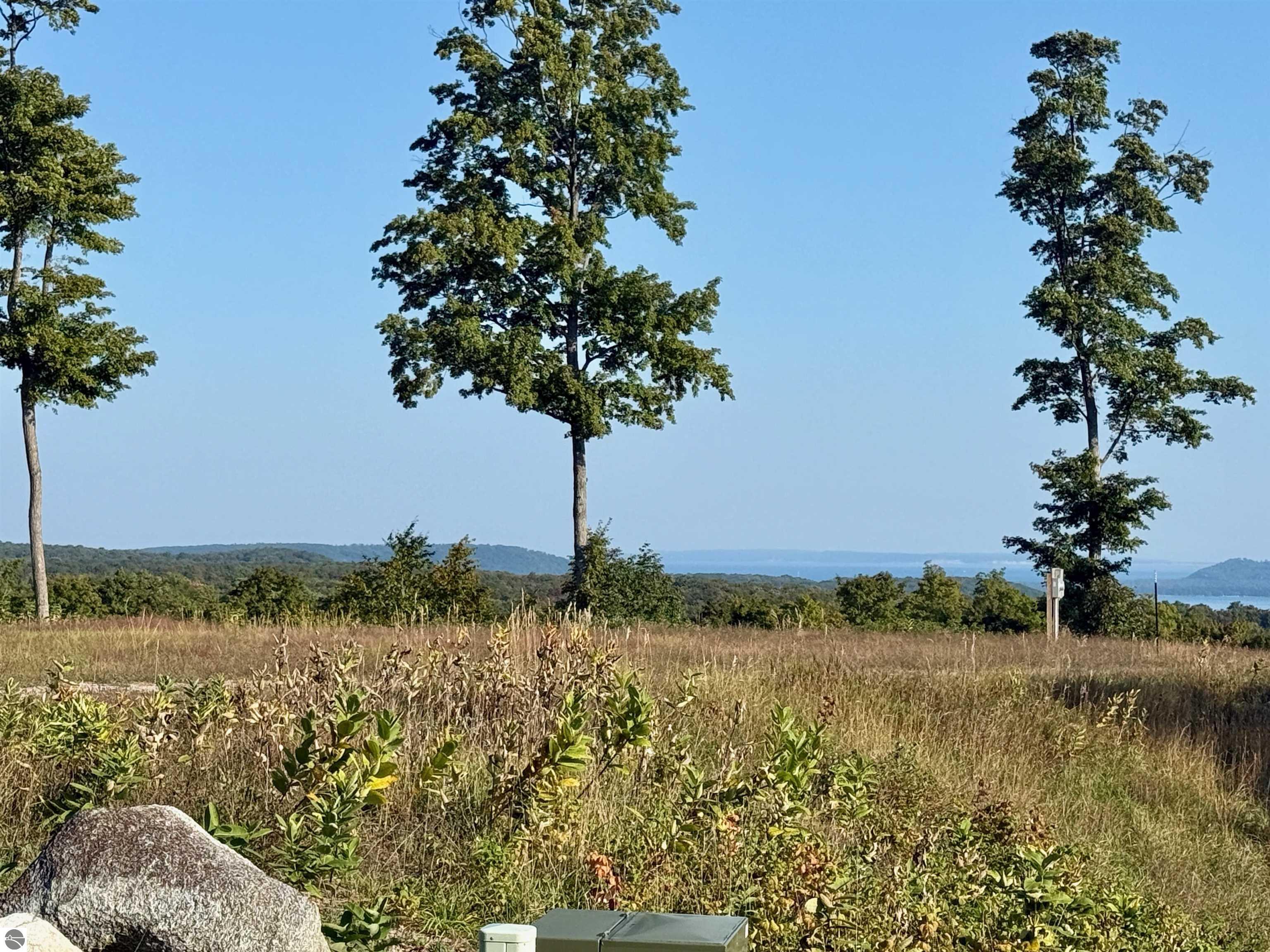 0 W Timber Wolf Court