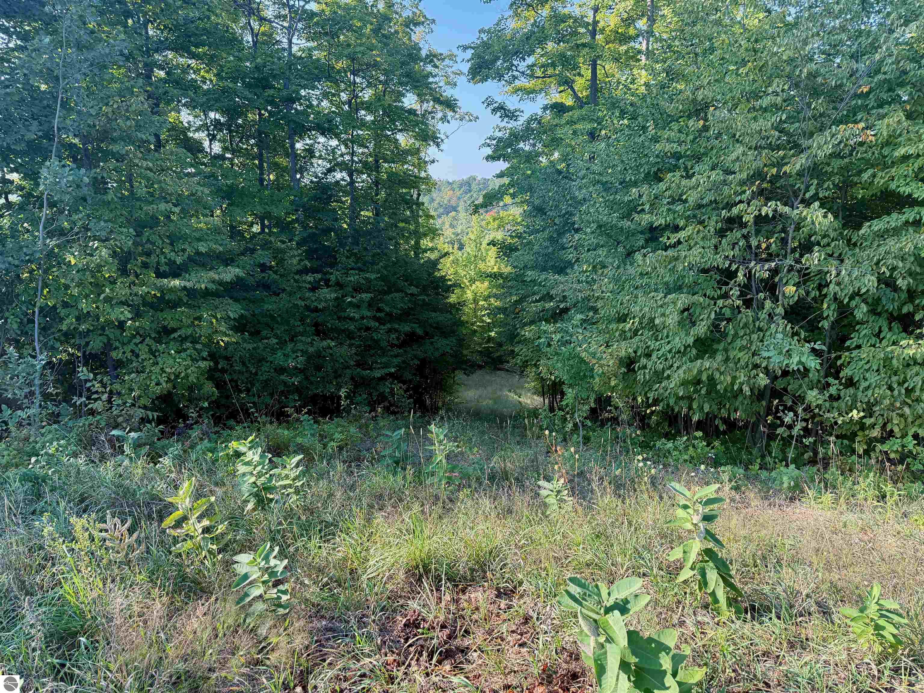 0 W Timber Wolf Court