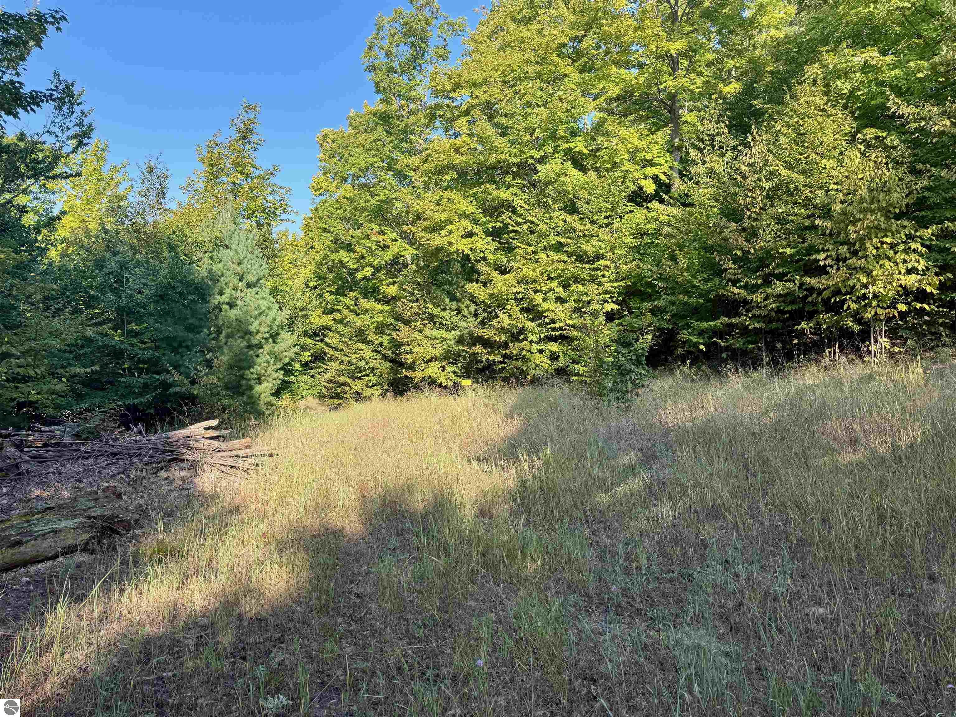 0 W Timber Wolf Court