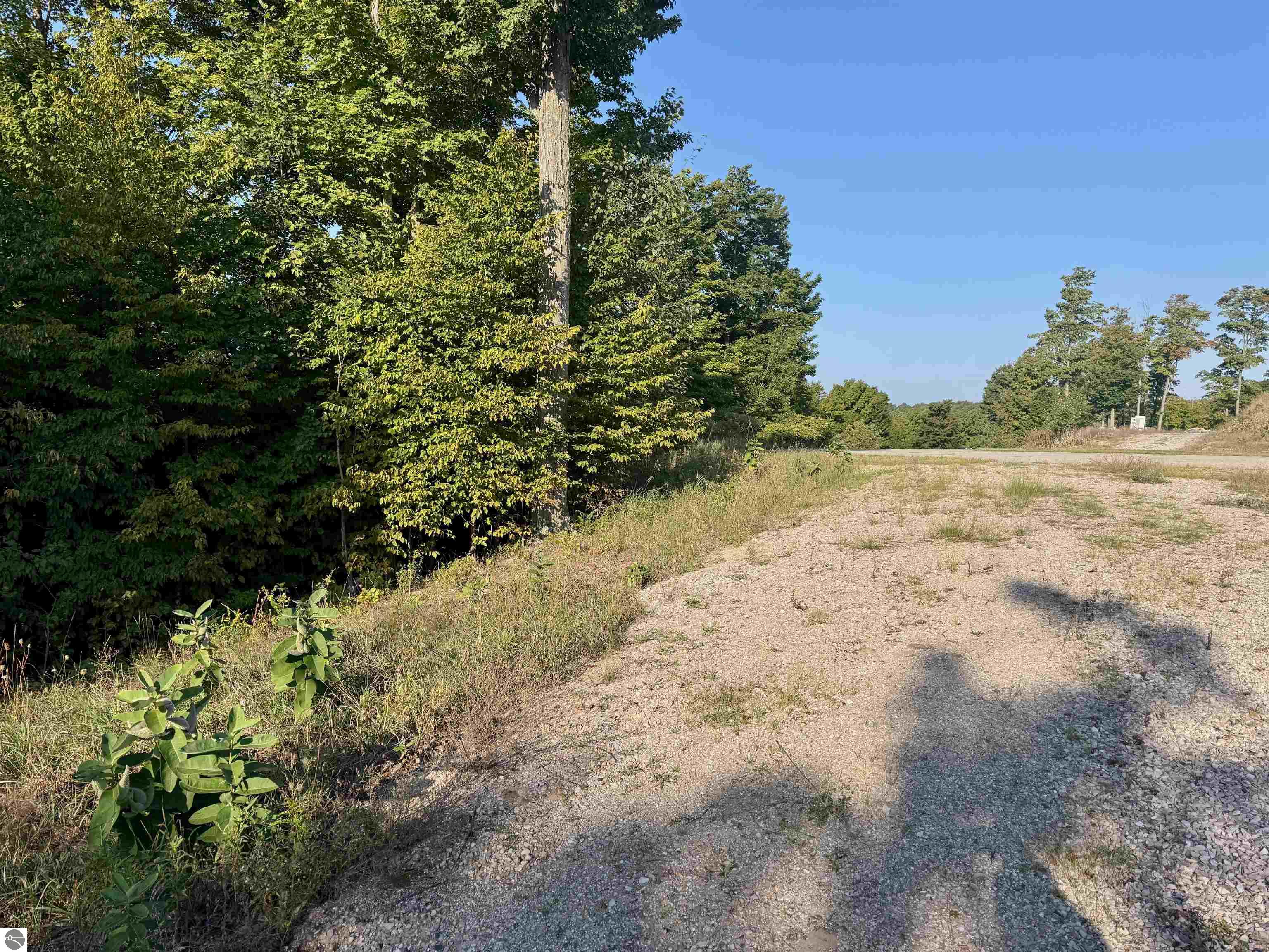 0 W Timber Wolf Court