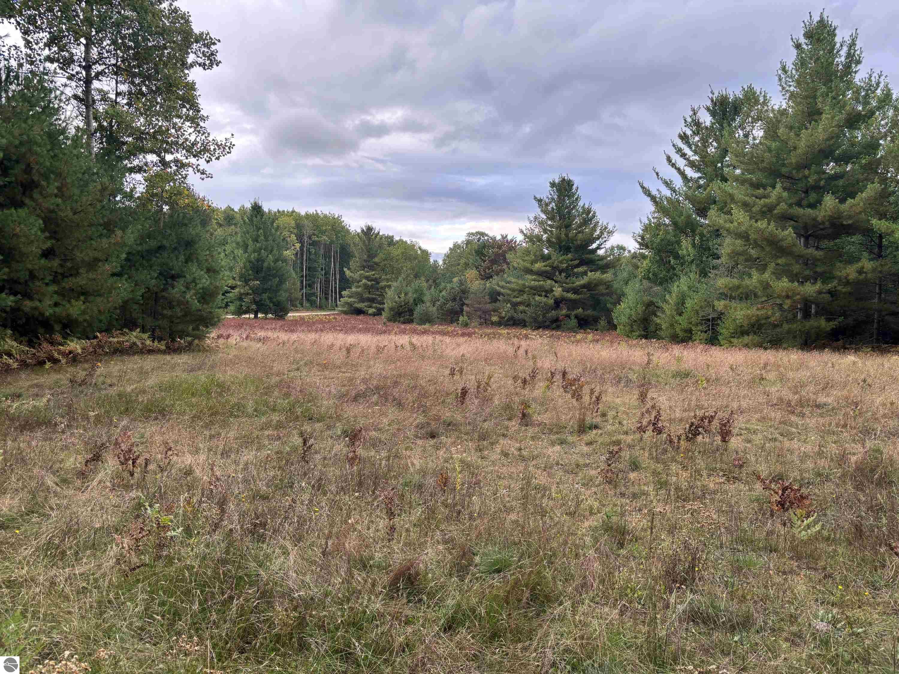 3131 Silverado Trail