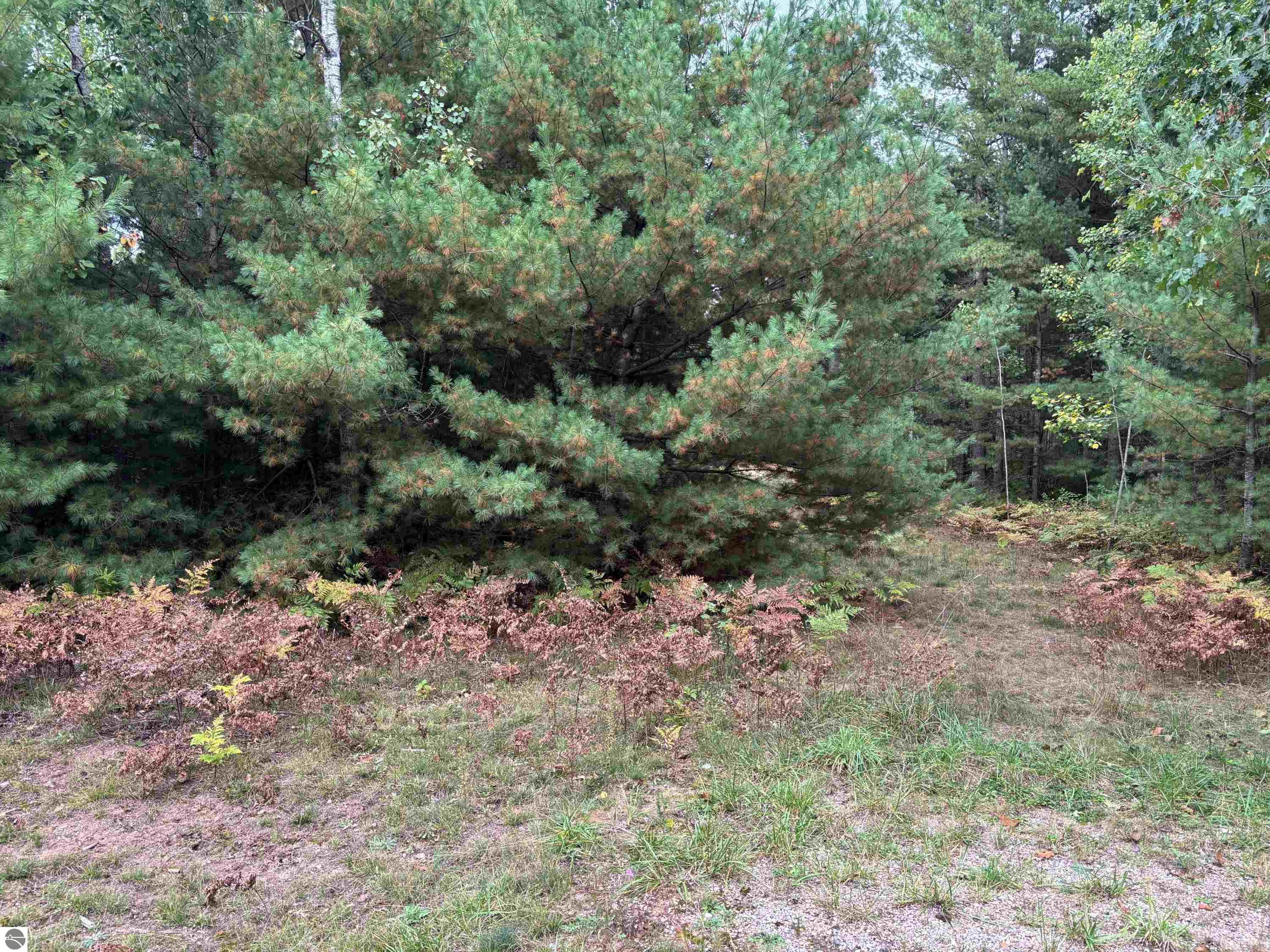 3131 Silverado Trail