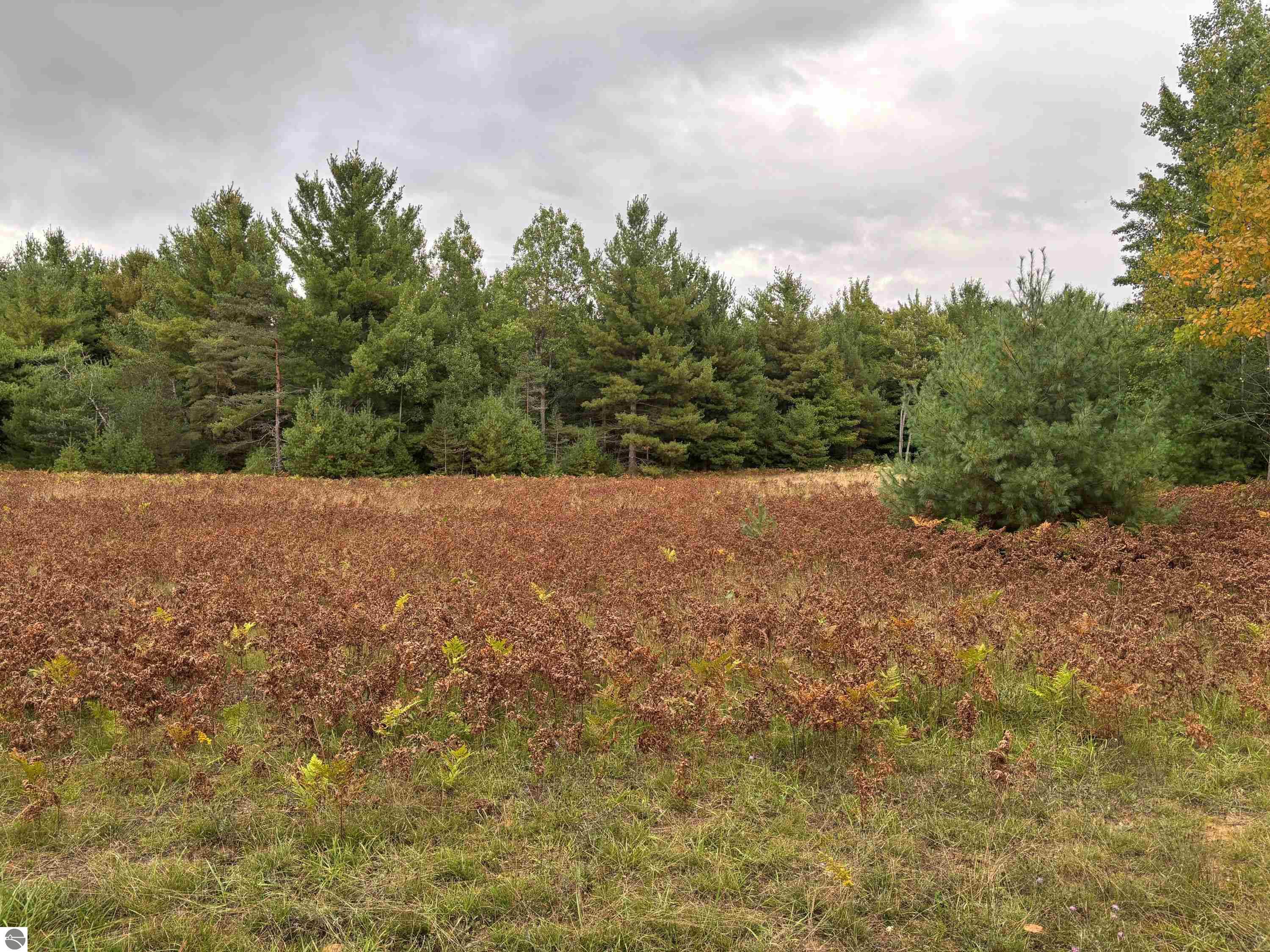 3131 Silverado Trail