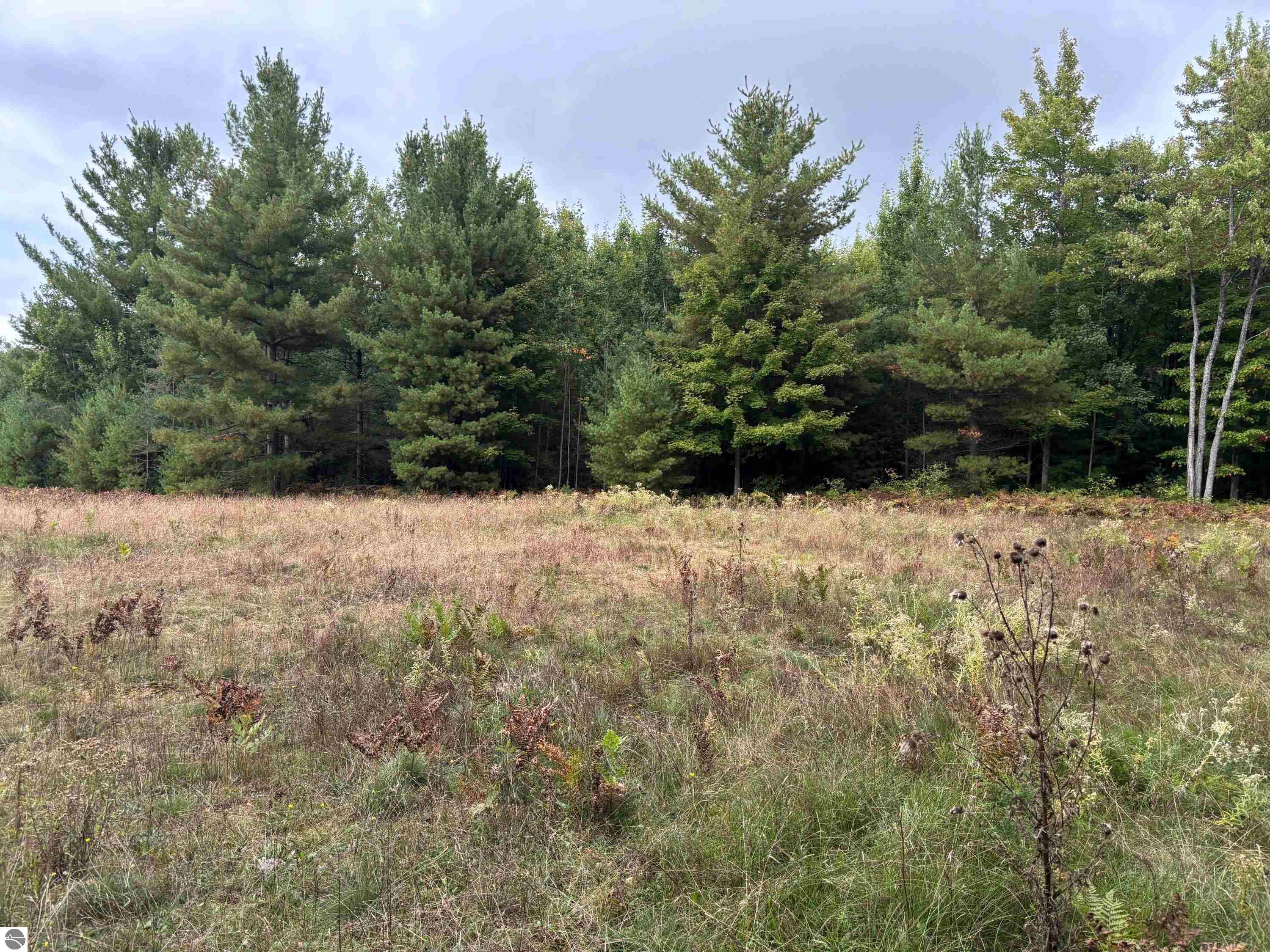 3131 Silverado Trail