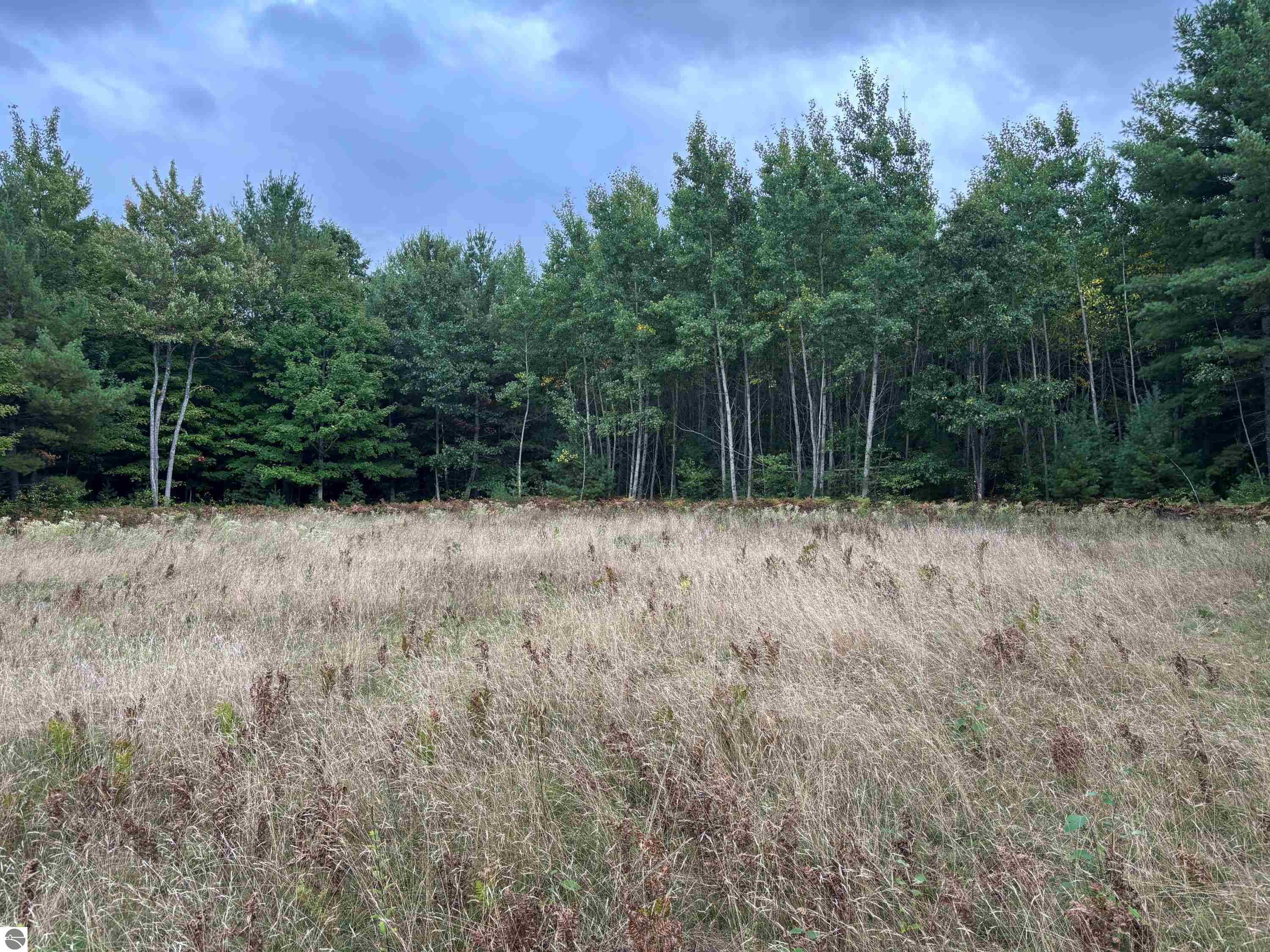 3131 Silverado Trail