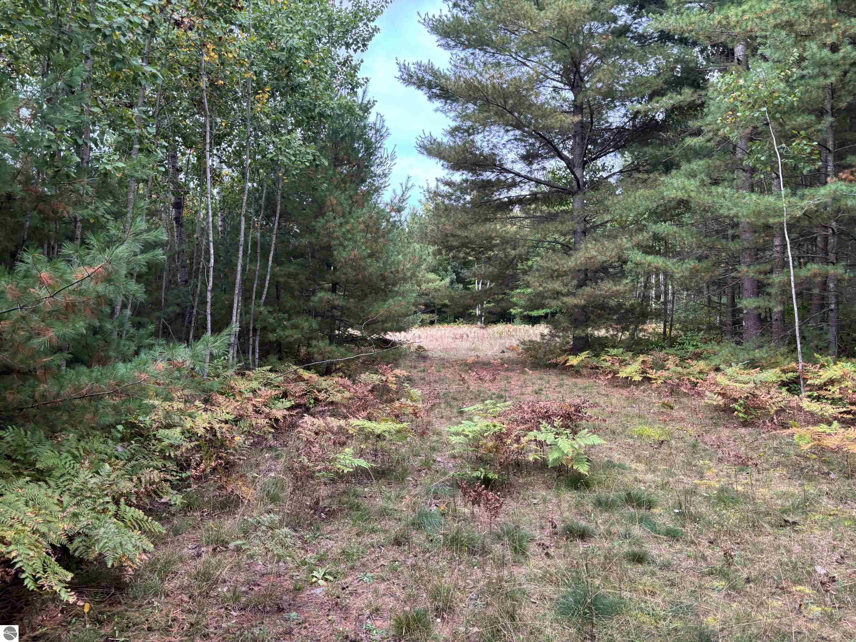 3131 Silverado Trail