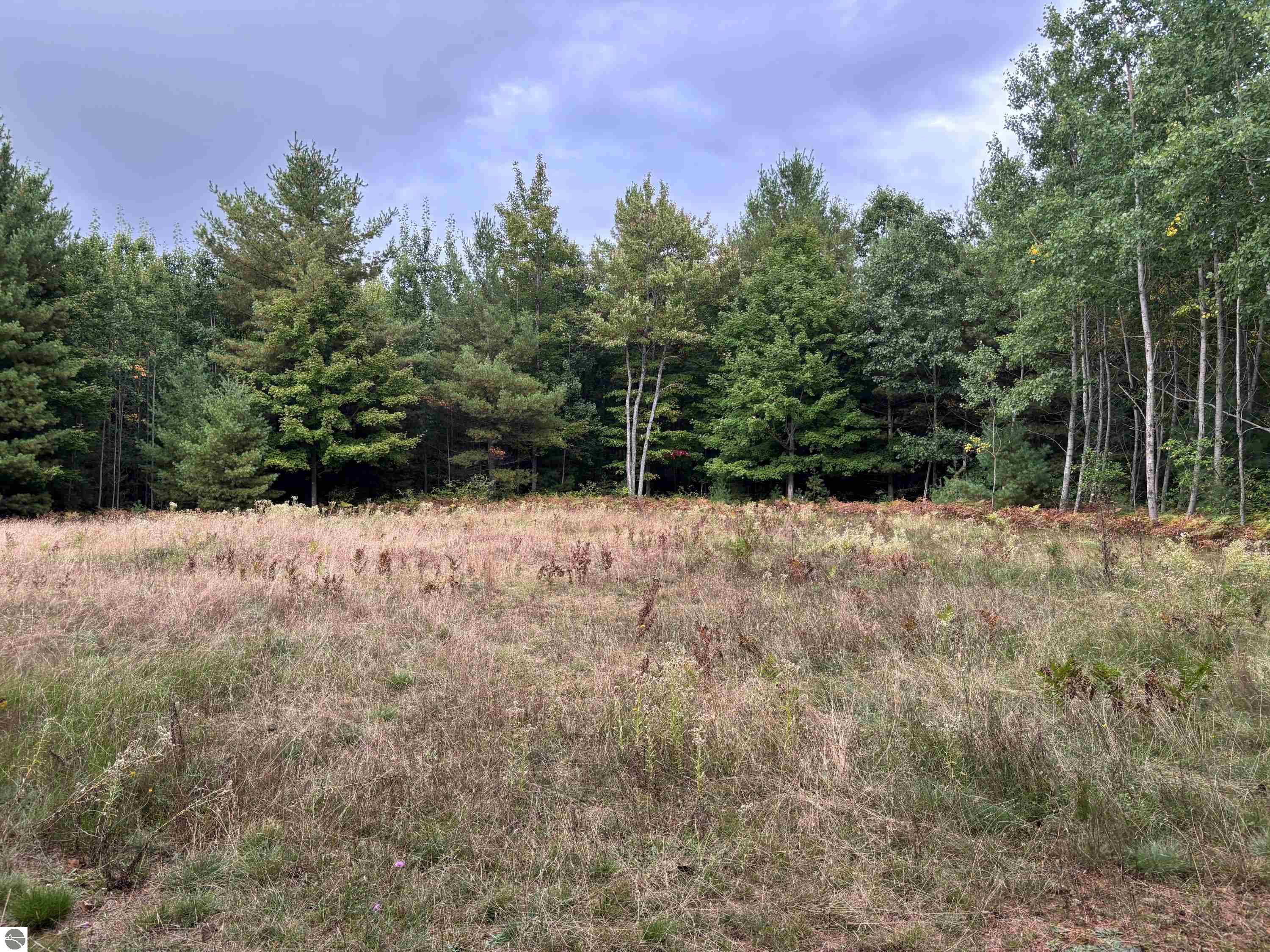 3131 Silverado Trail