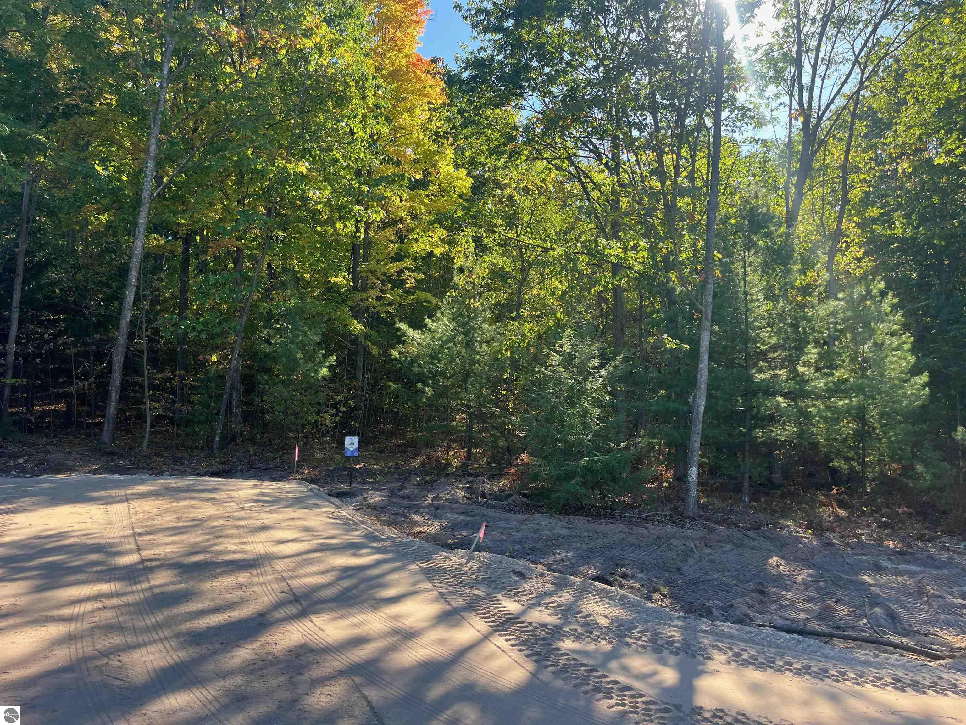 4655 Leaning Birch Drive