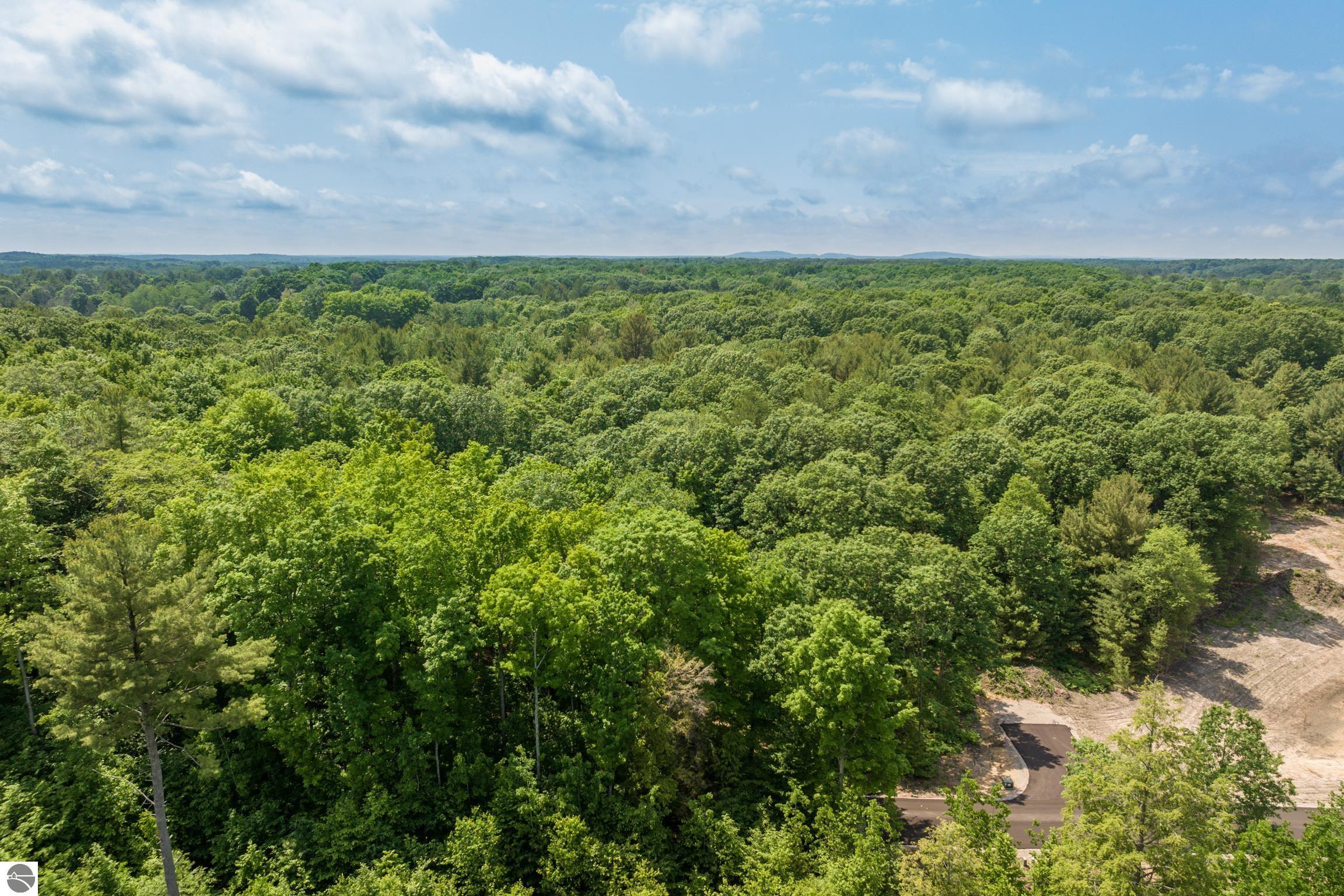 4655 Leaning Birch Drive