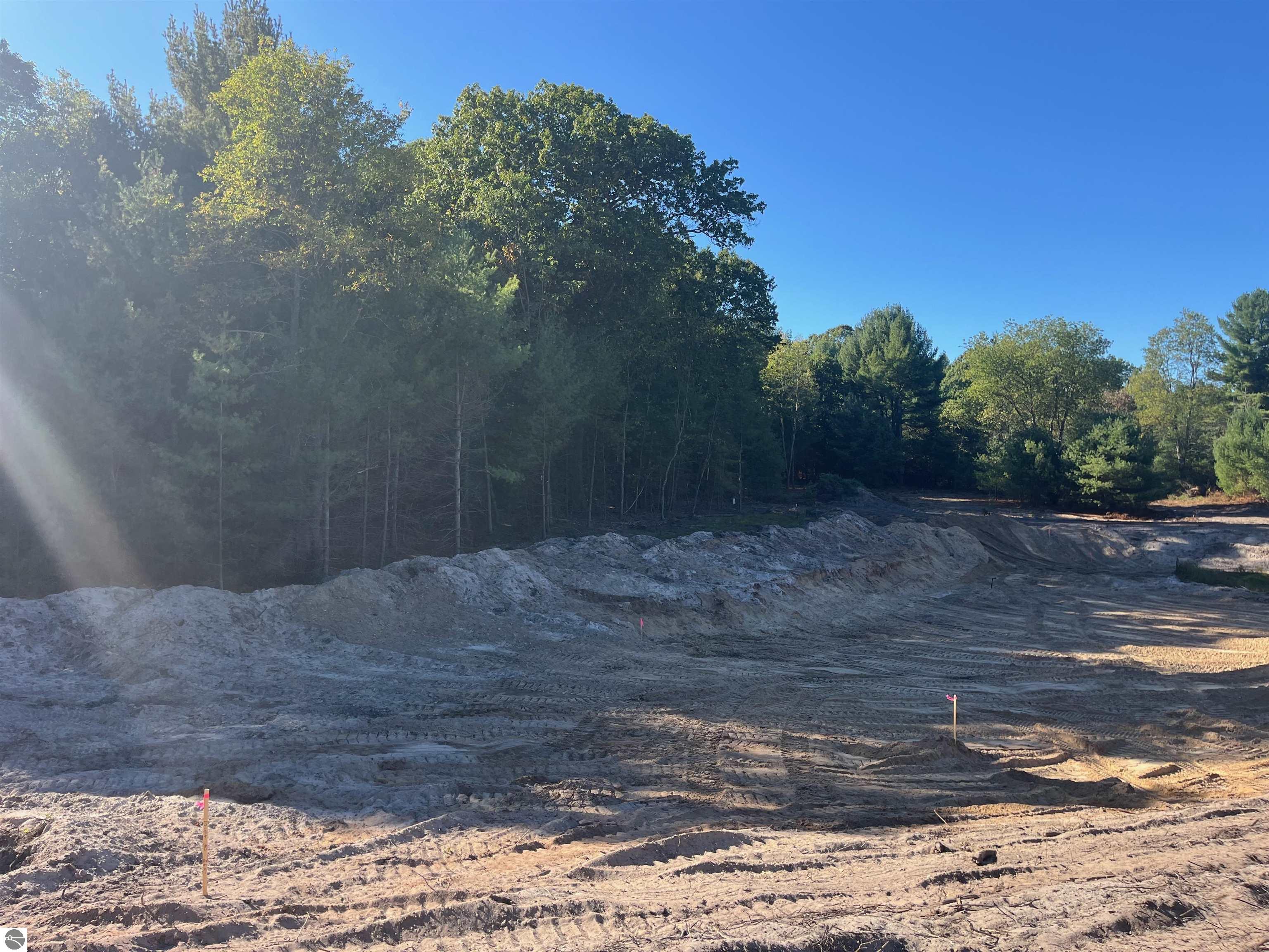 4665 Leaning Birch Drive