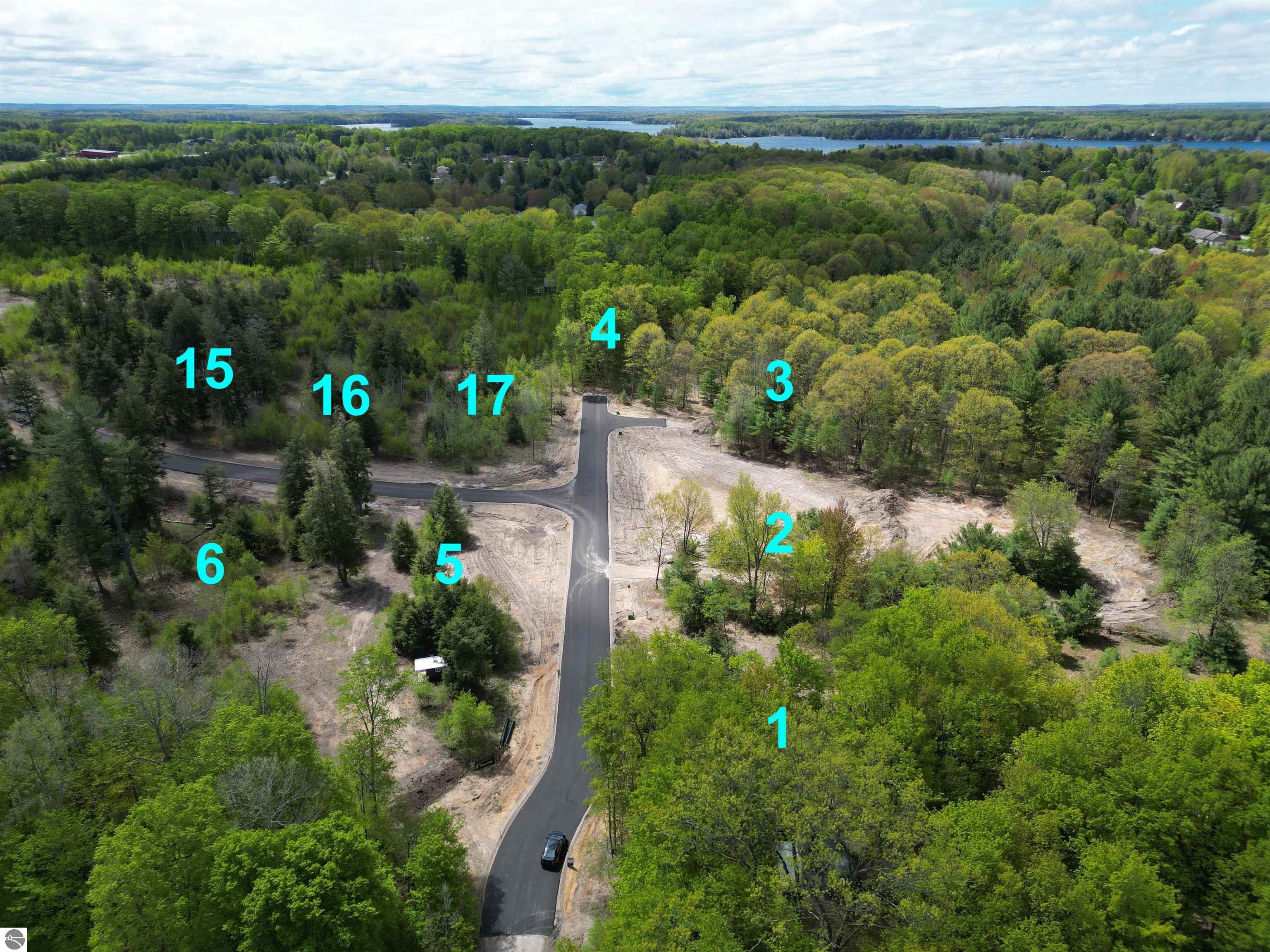 4665 Leaning Birch Drive