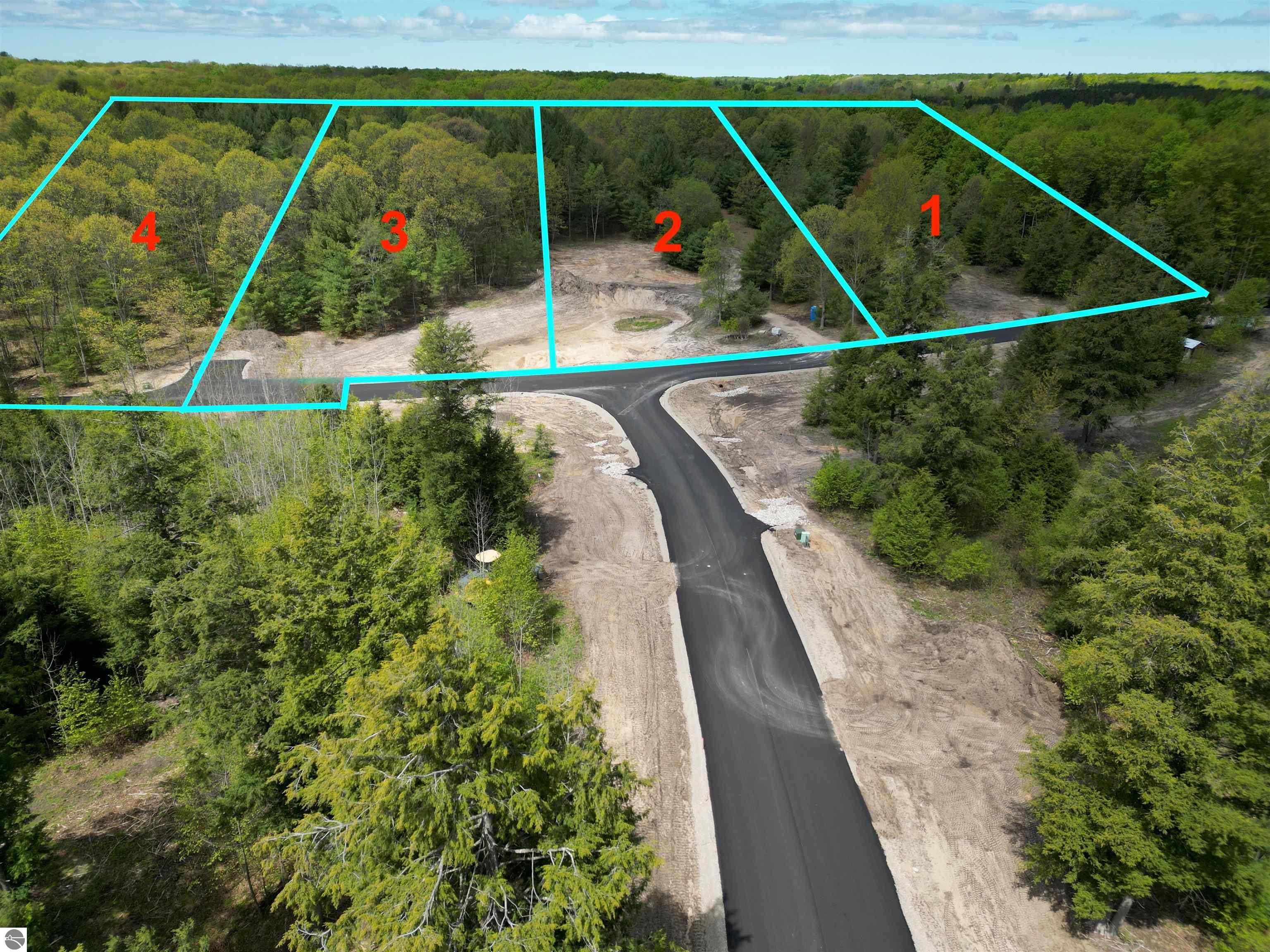 4665 Leaning Birch Drive