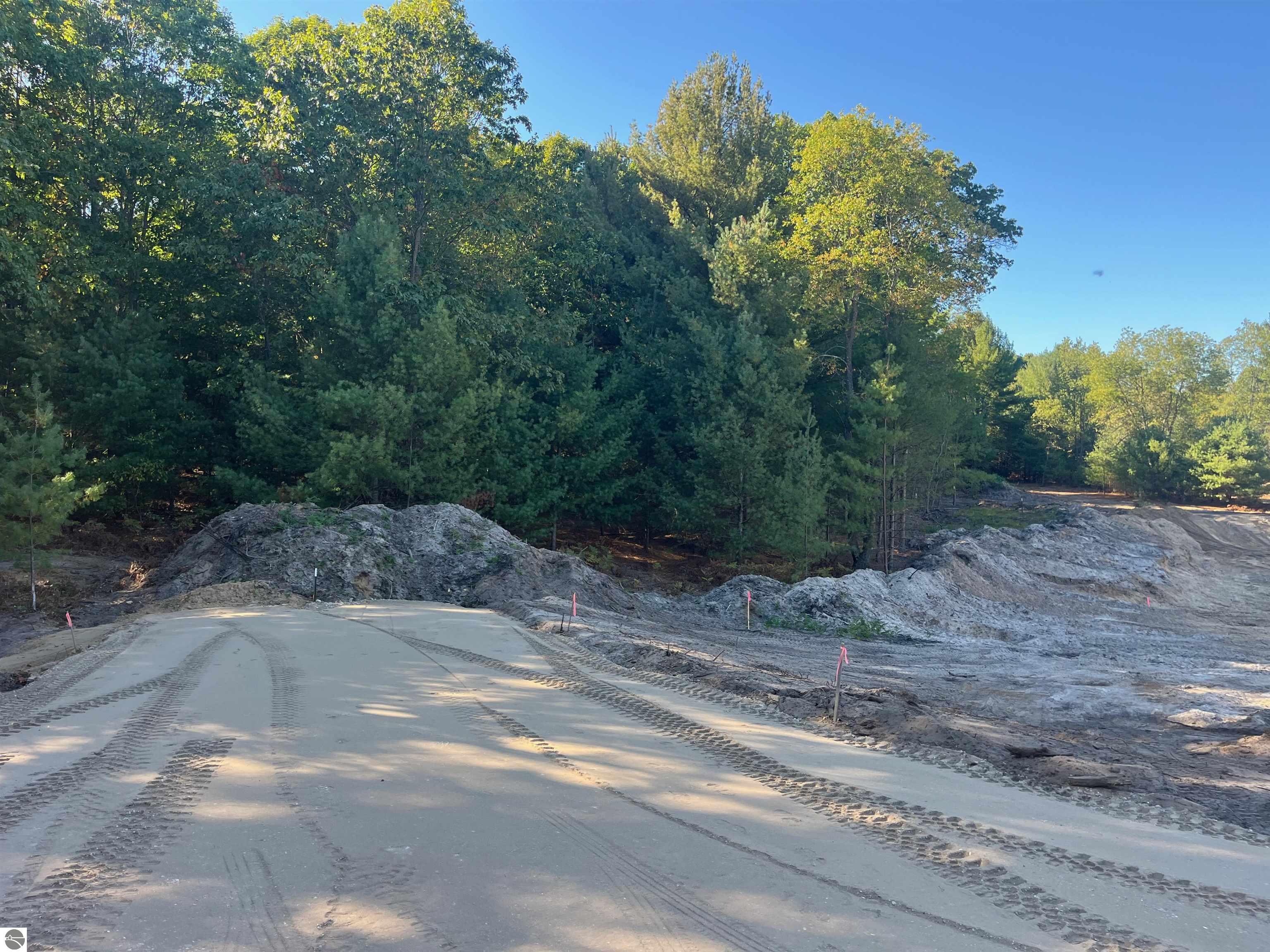 4665 Leaning Birch Drive