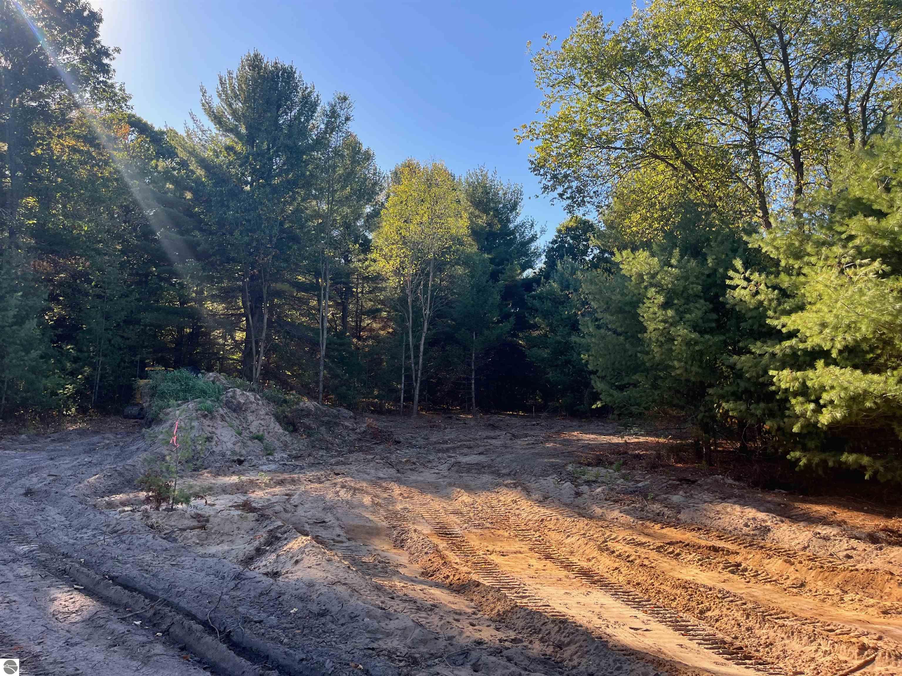 4717 Leaning Birch Drive