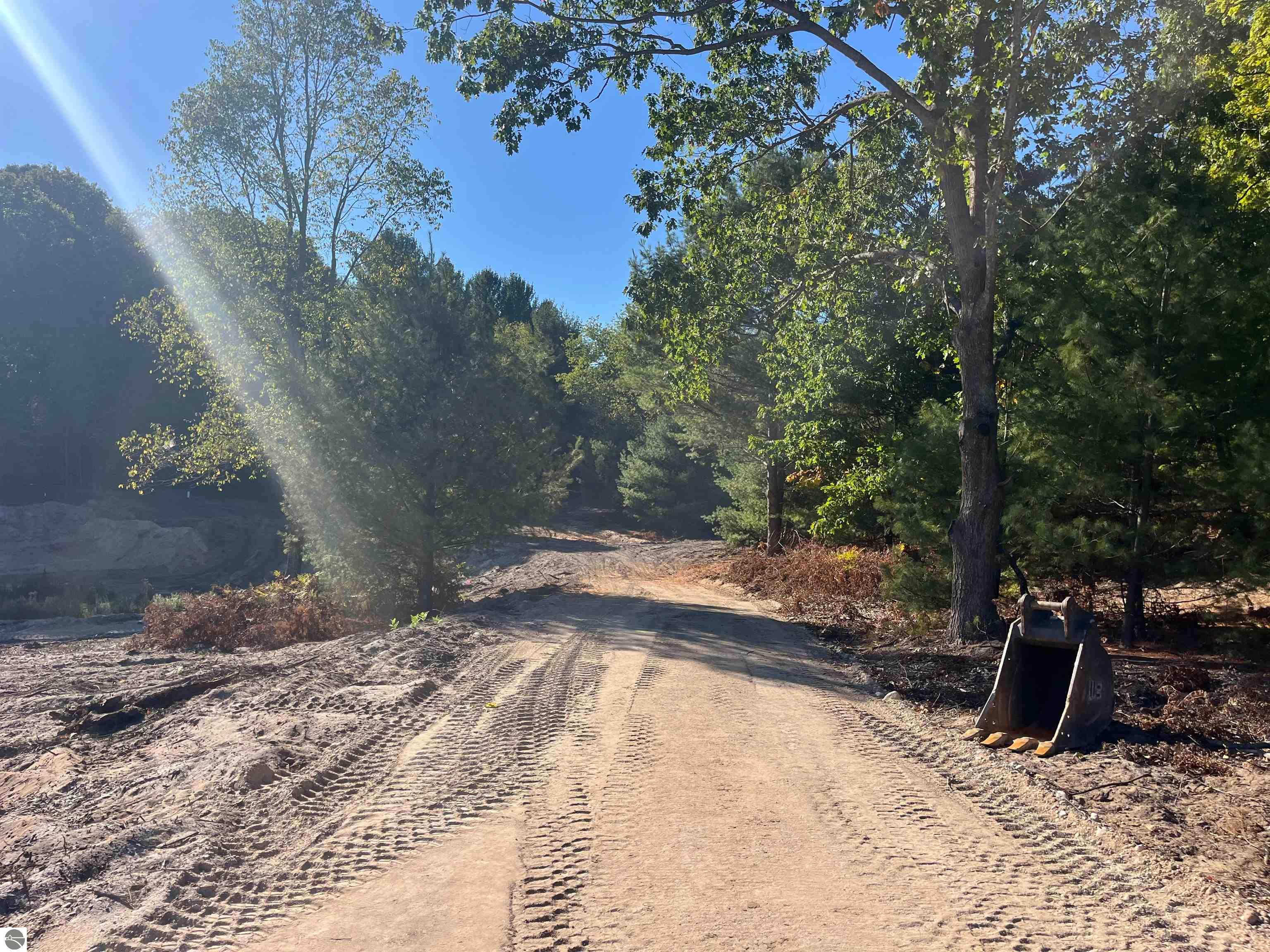 4717 Leaning Birch Drive