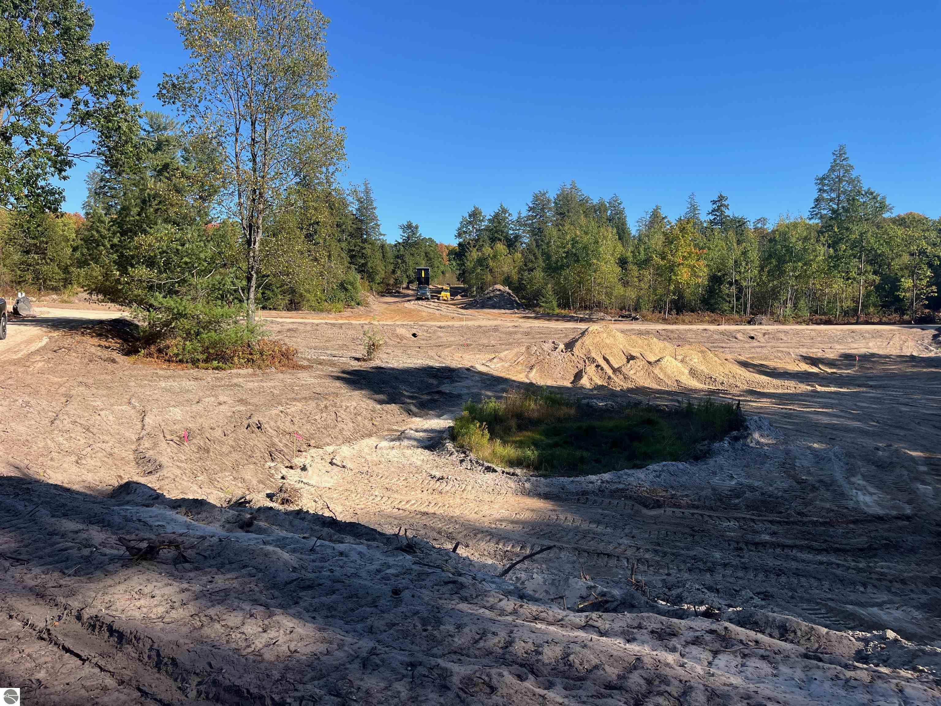 4717 Leaning Birch Drive