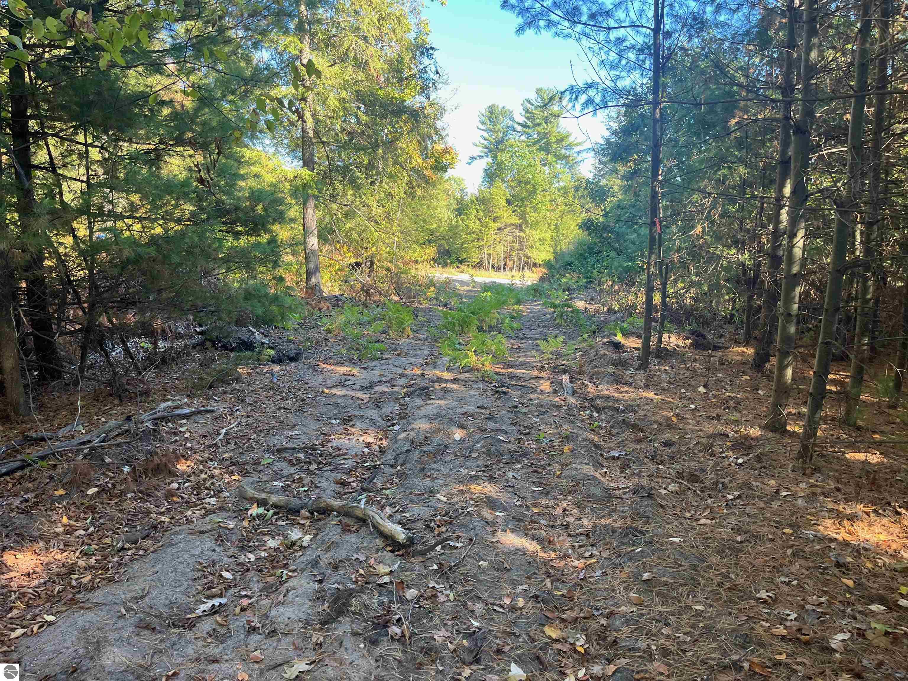 4735 Leaning Birch Drive