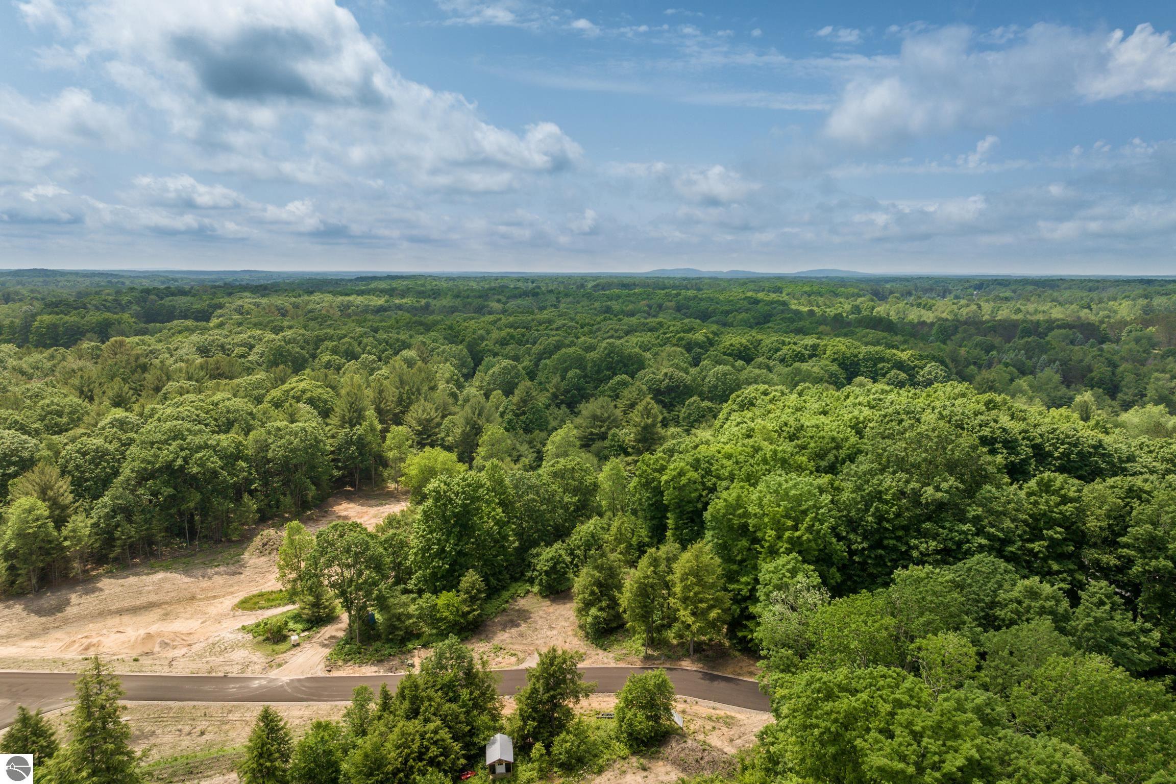 4735 Leaning Birch Drive