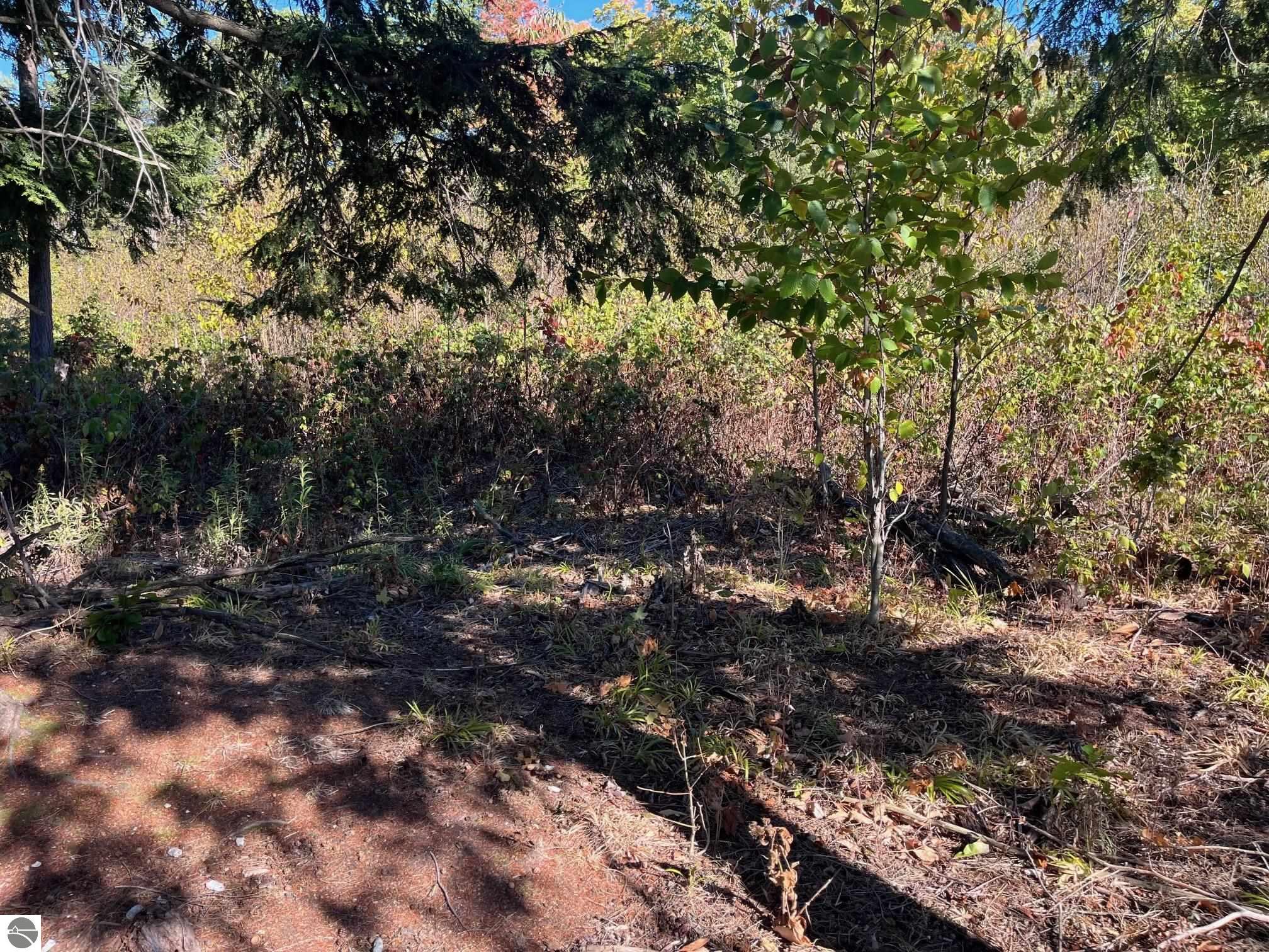 8784 Hemlock Hill Drive