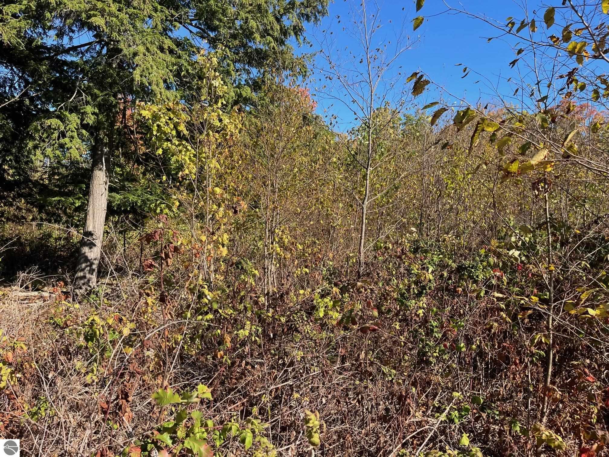 8784 Hemlock Hill Drive