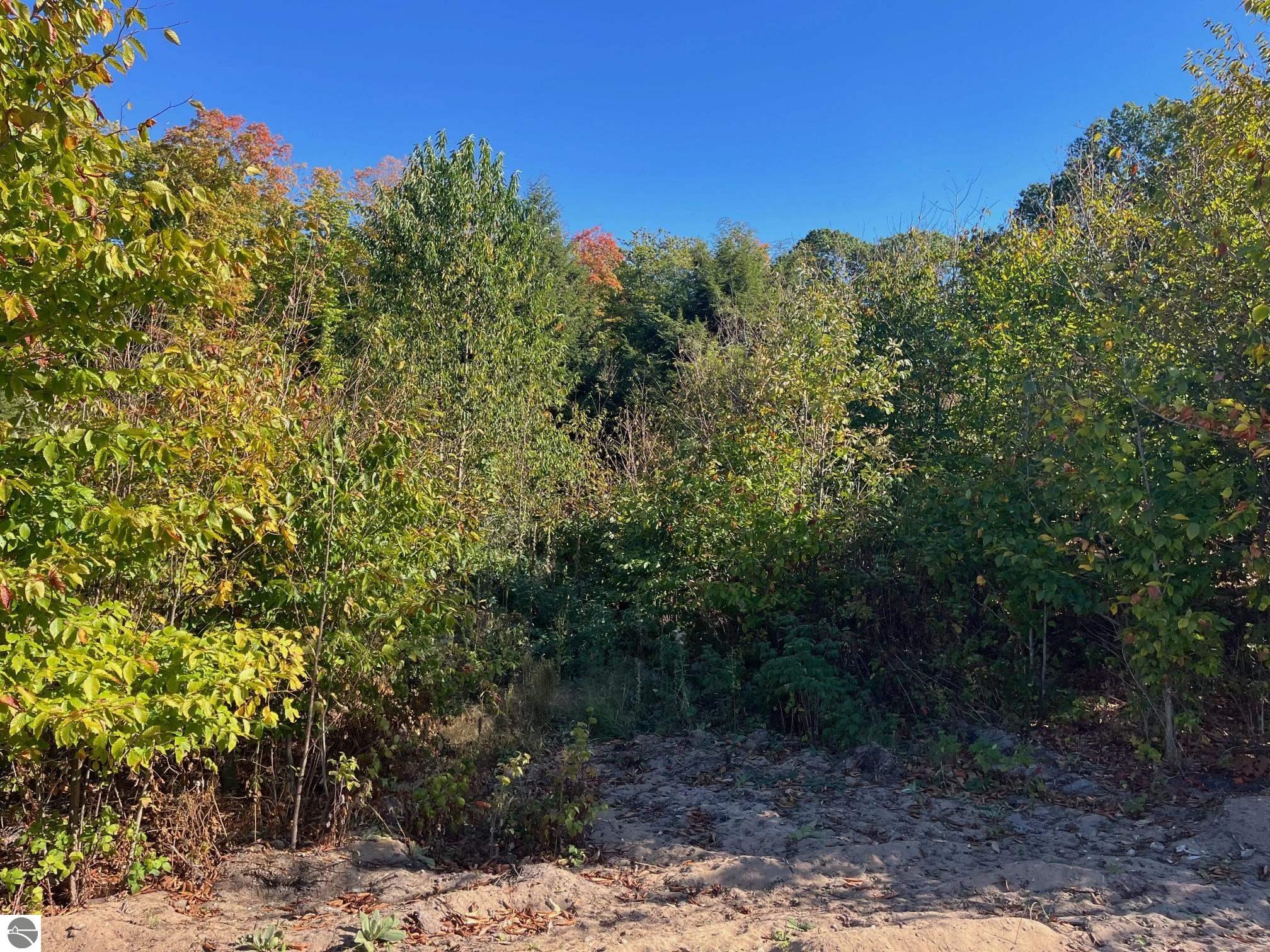 8762 Hemlock Hill Drive