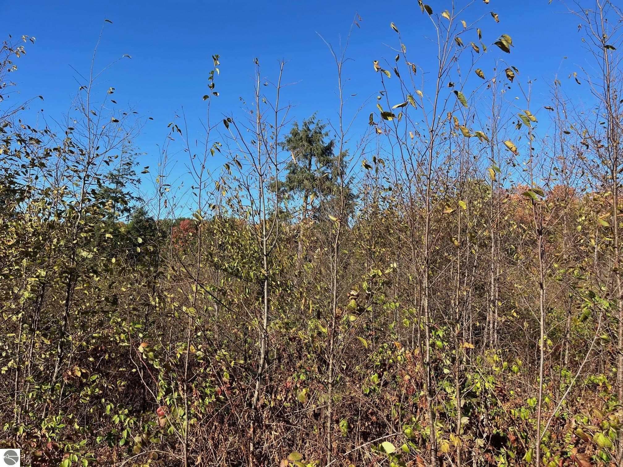 8812 Hemlock Hill Drive