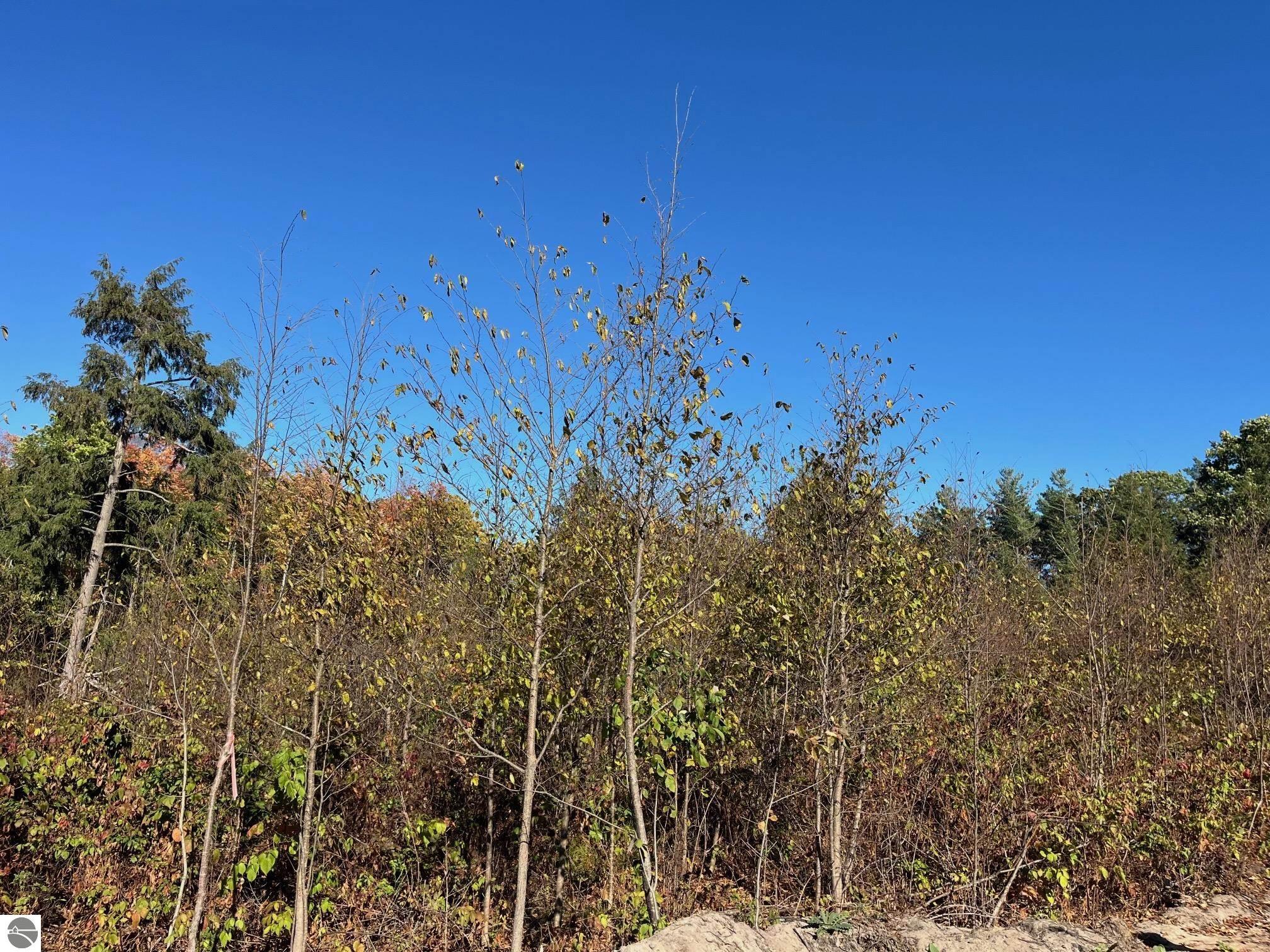 8812 Hemlock Hill Drive