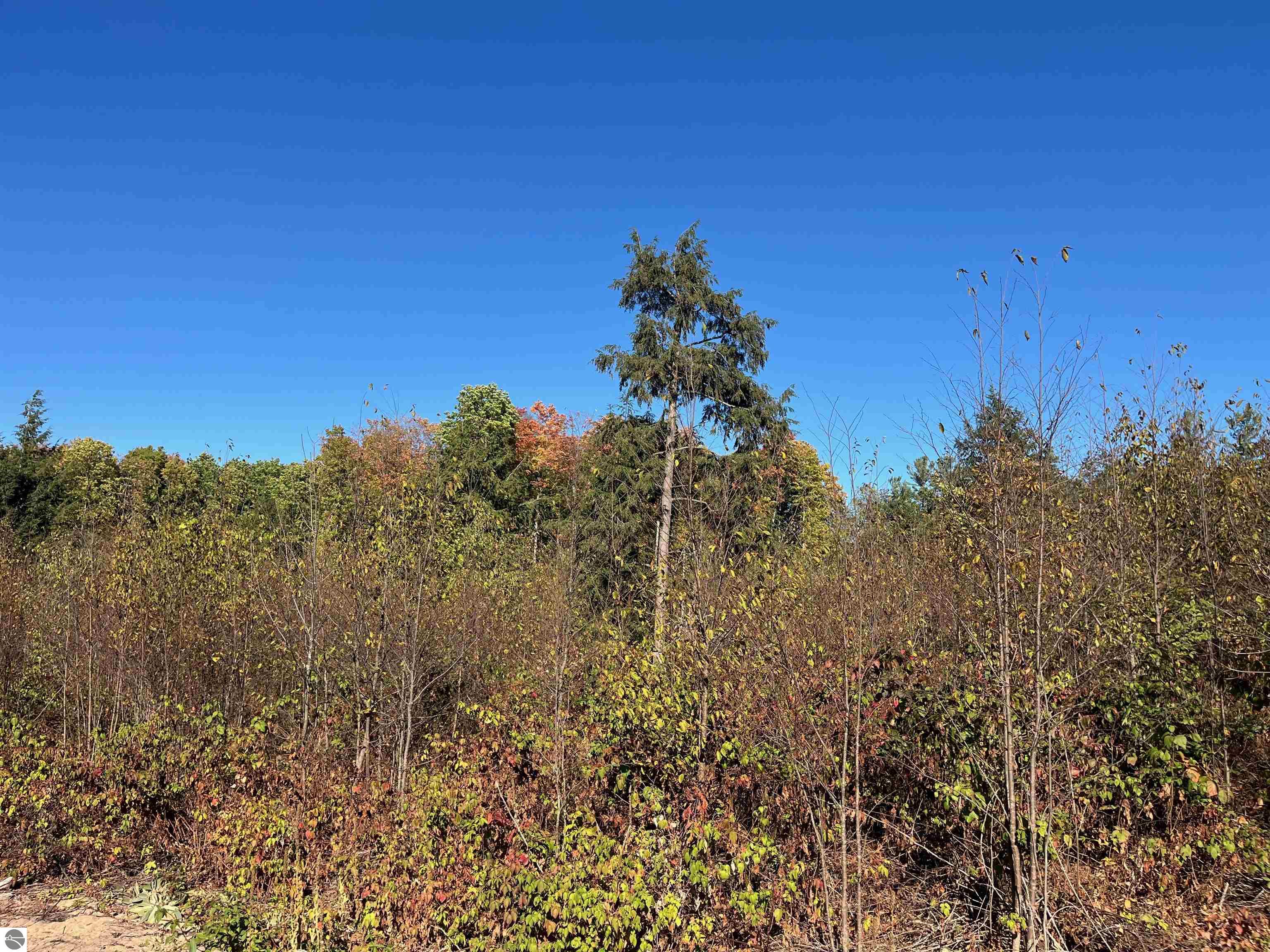 8812 Hemlock Hill Drive